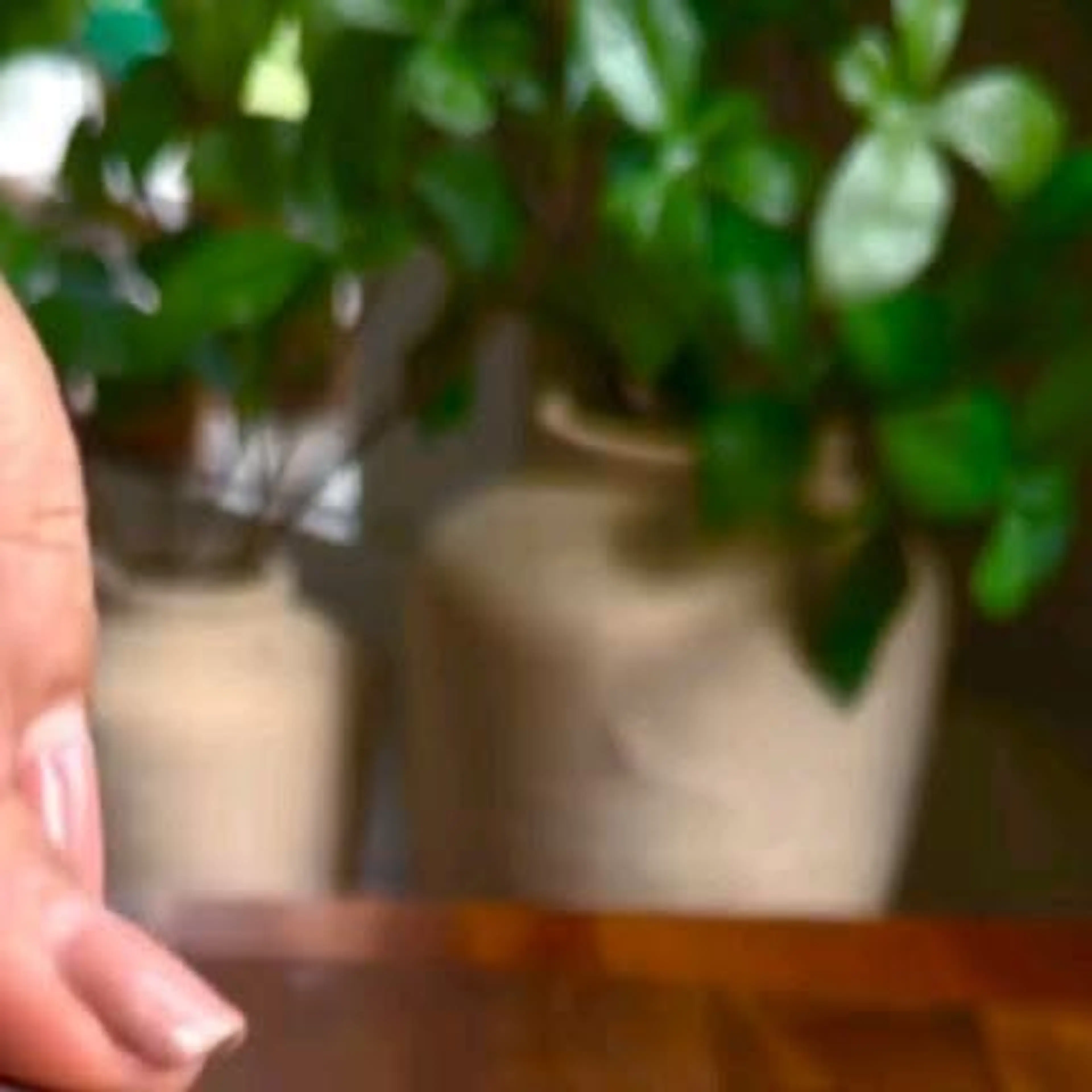 Honey Lime Chicken Over Rice