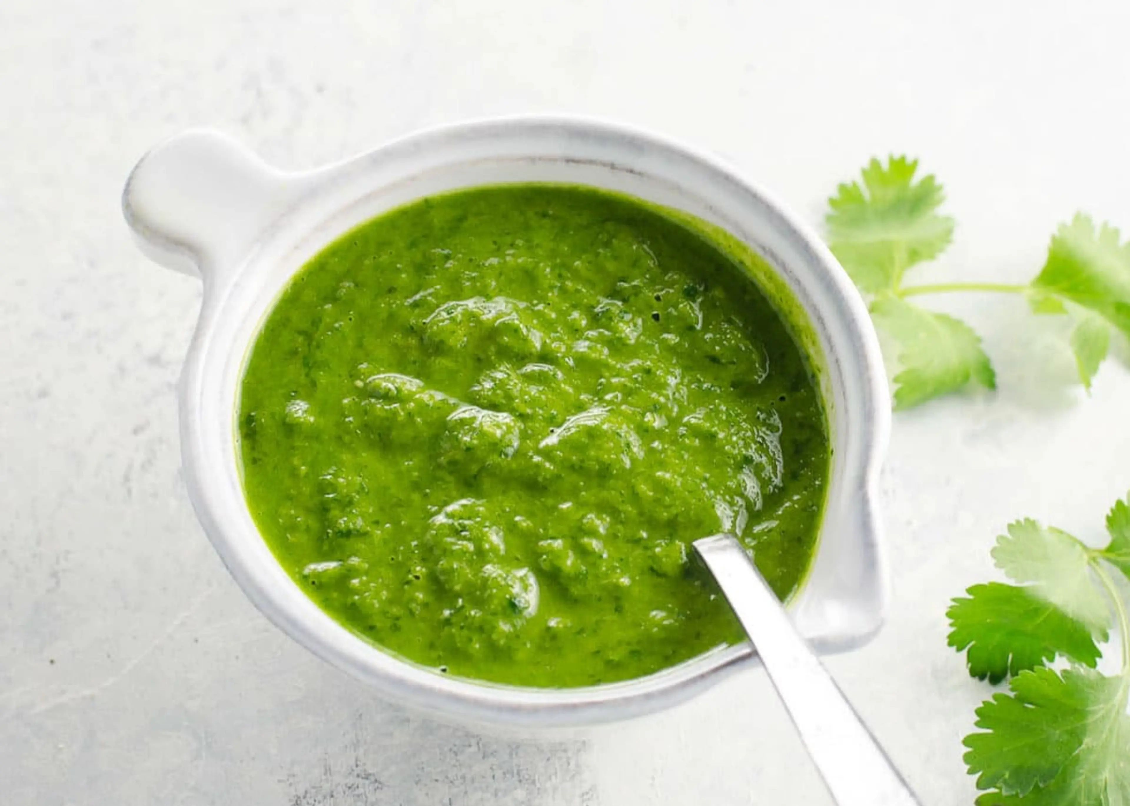 Cilantro Sauce Recipe