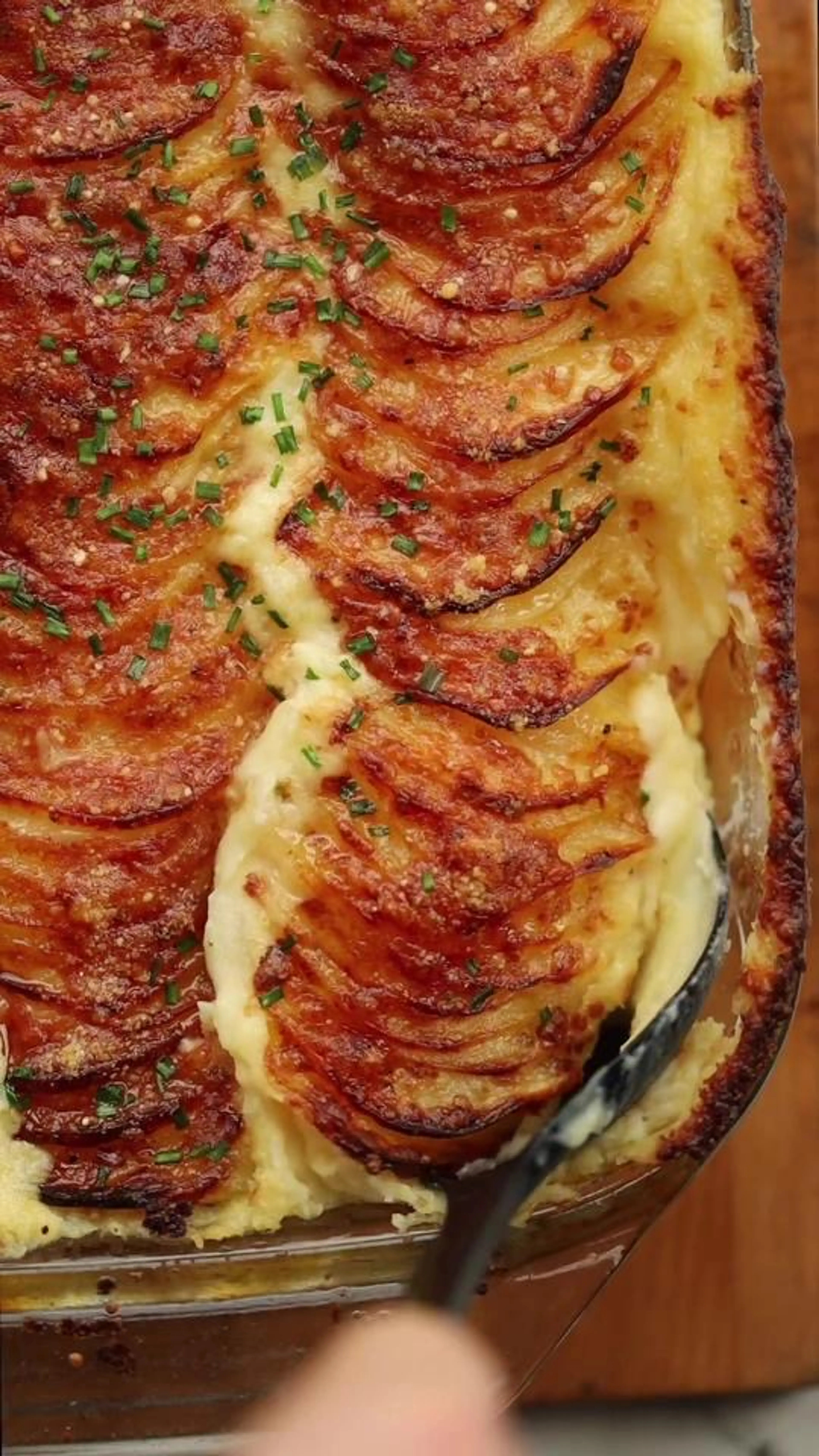 Mashed Potato Gratin