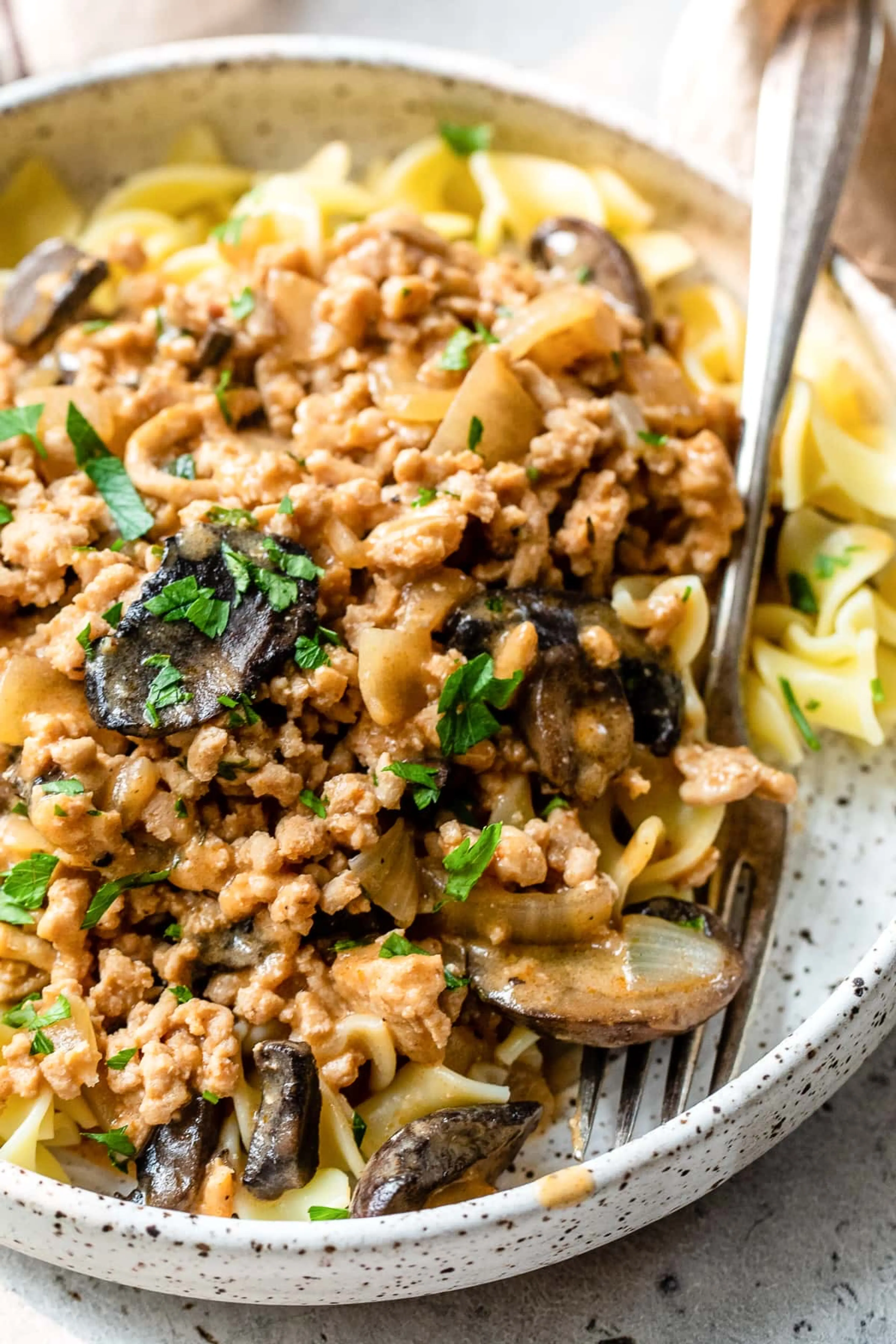Chicken Stroganoff Sauce
