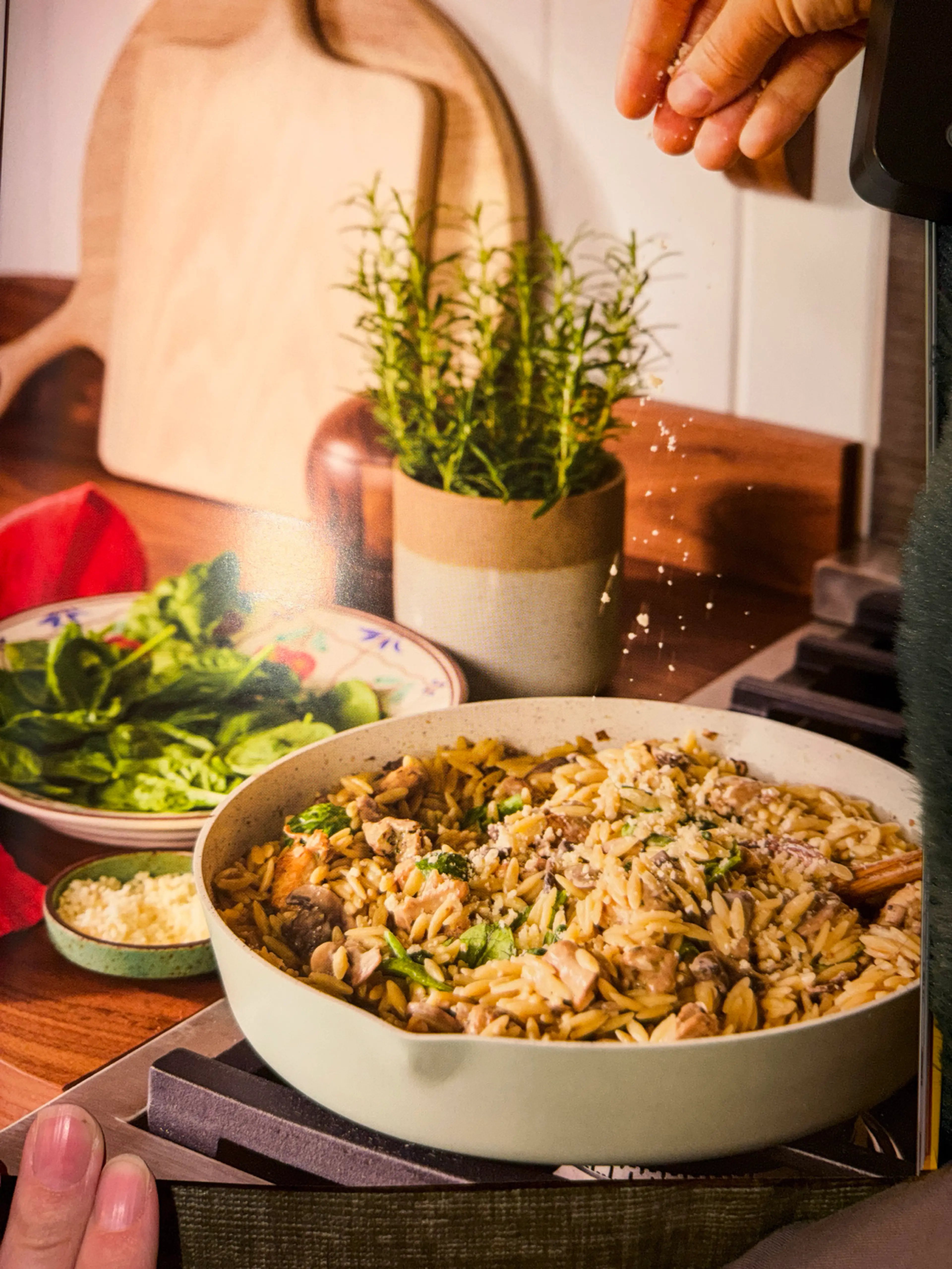 one-pot creamy chicken and mushroom orzotto