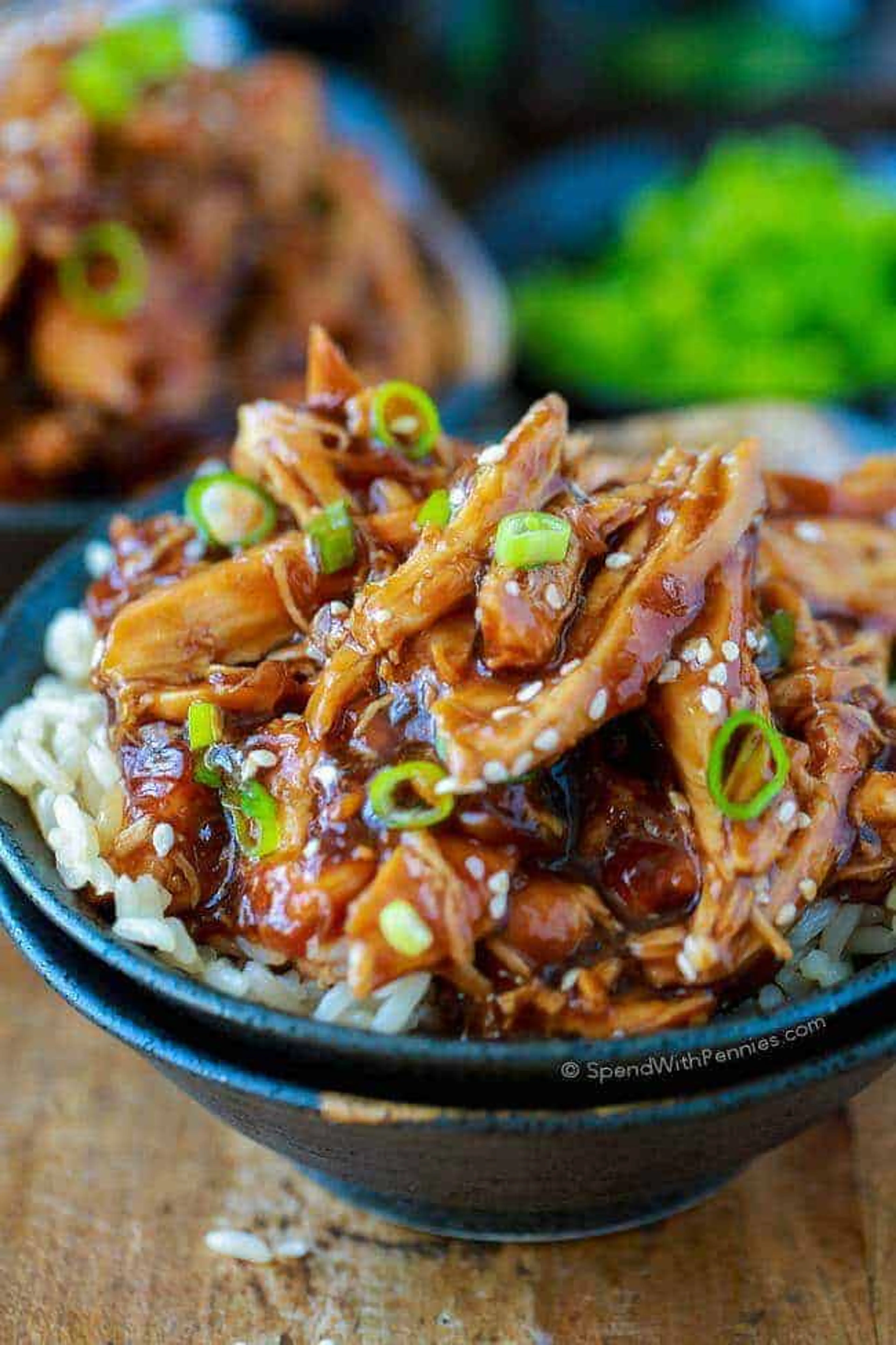 Slow Cooker Honey Garlic Chicken