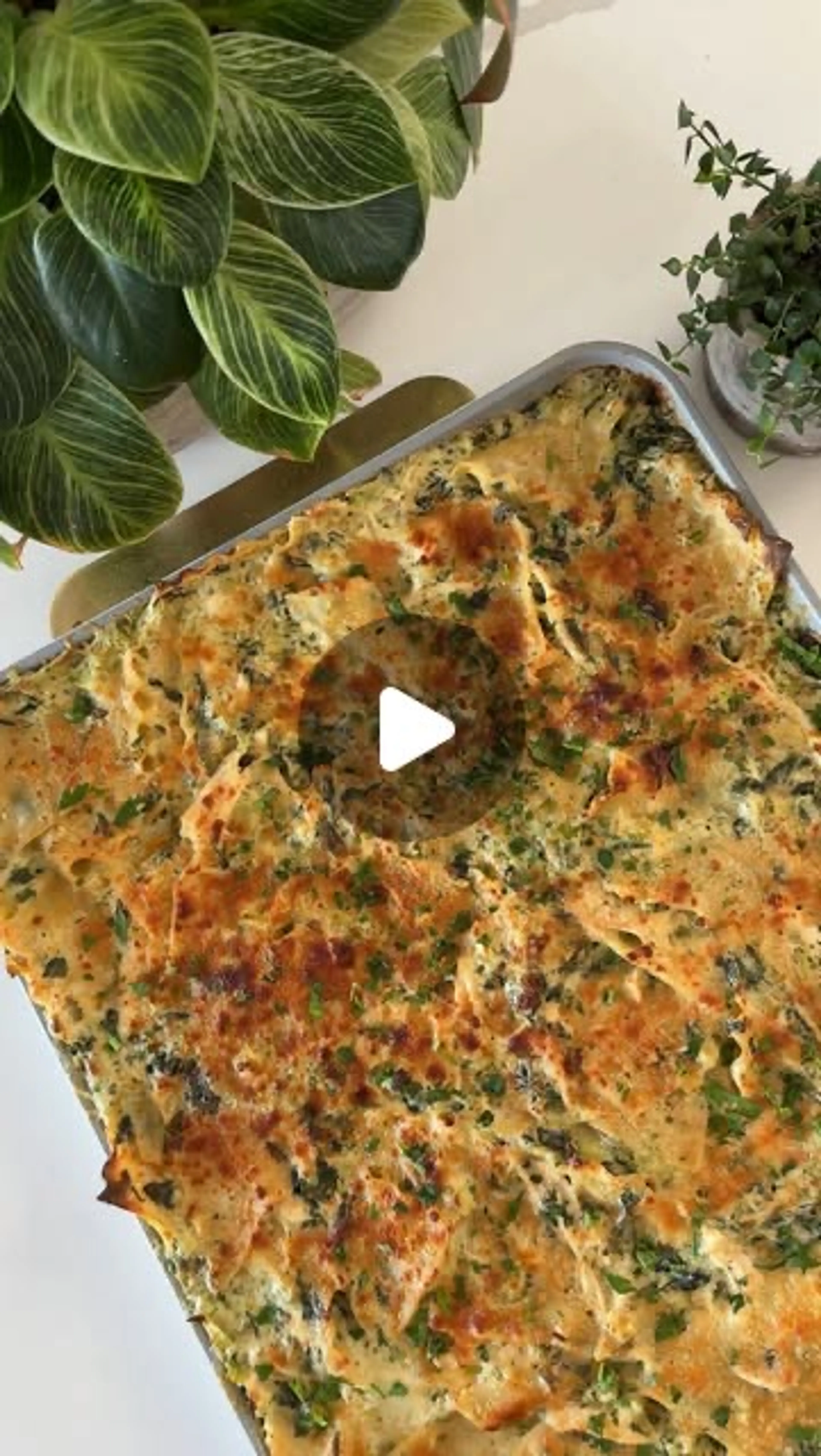 Creamy Chicken and Broccoli Sheet Pan Lasagna Inspired