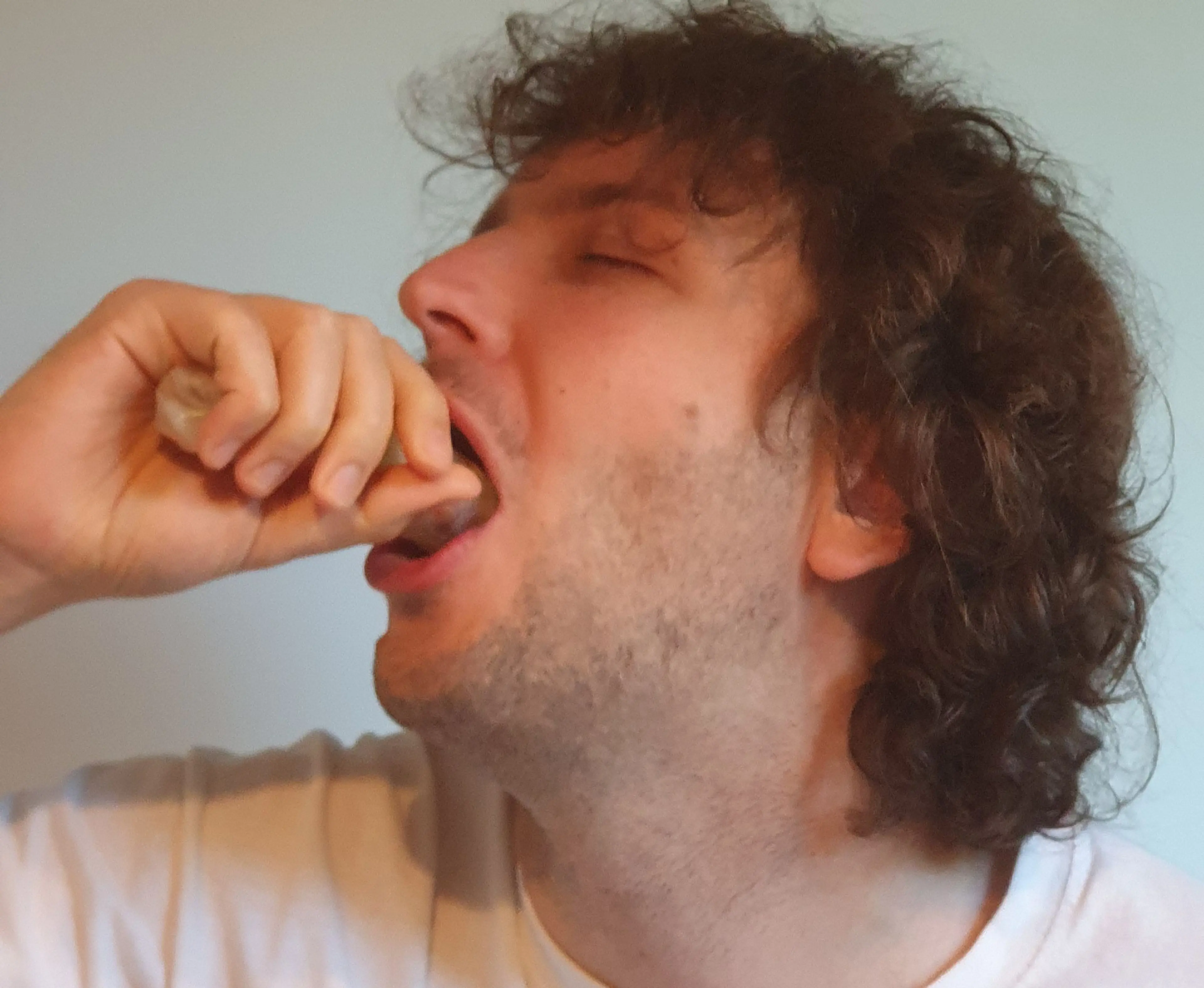 Sommerrollen mit Erdnussdip