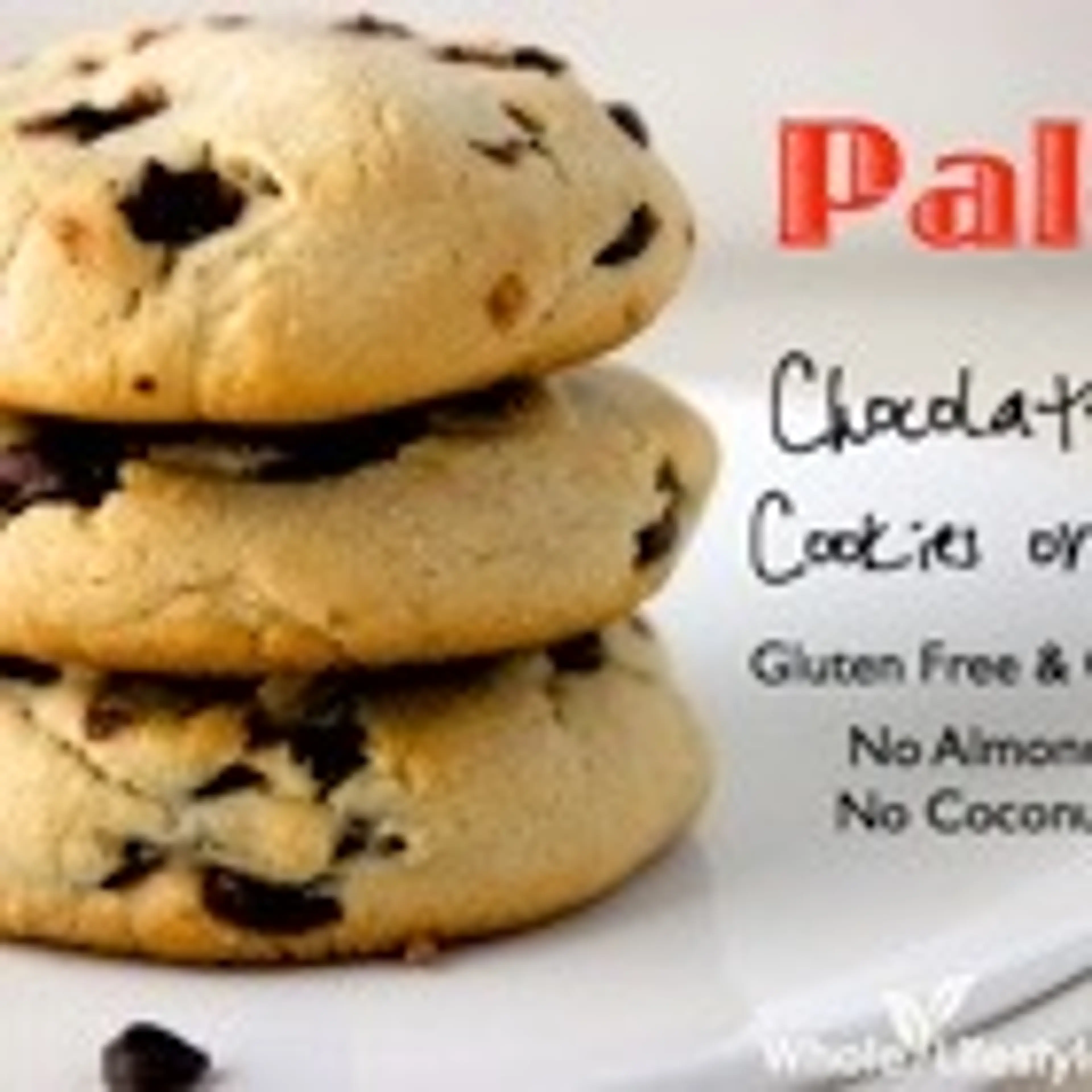 Paleo Chocolate Chip Cookies or Scones Recipe {No Almond Flo