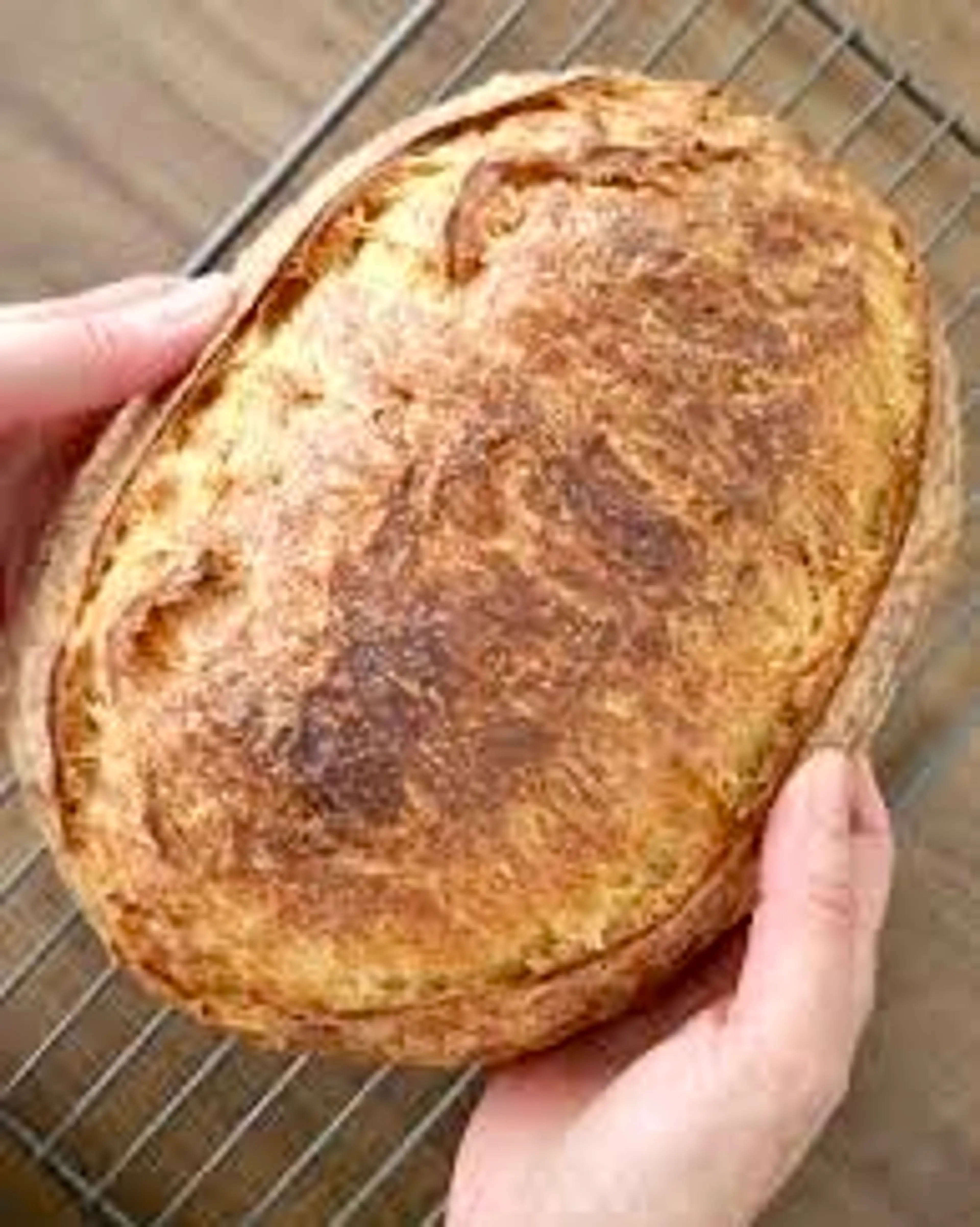 Sourdough Croissant