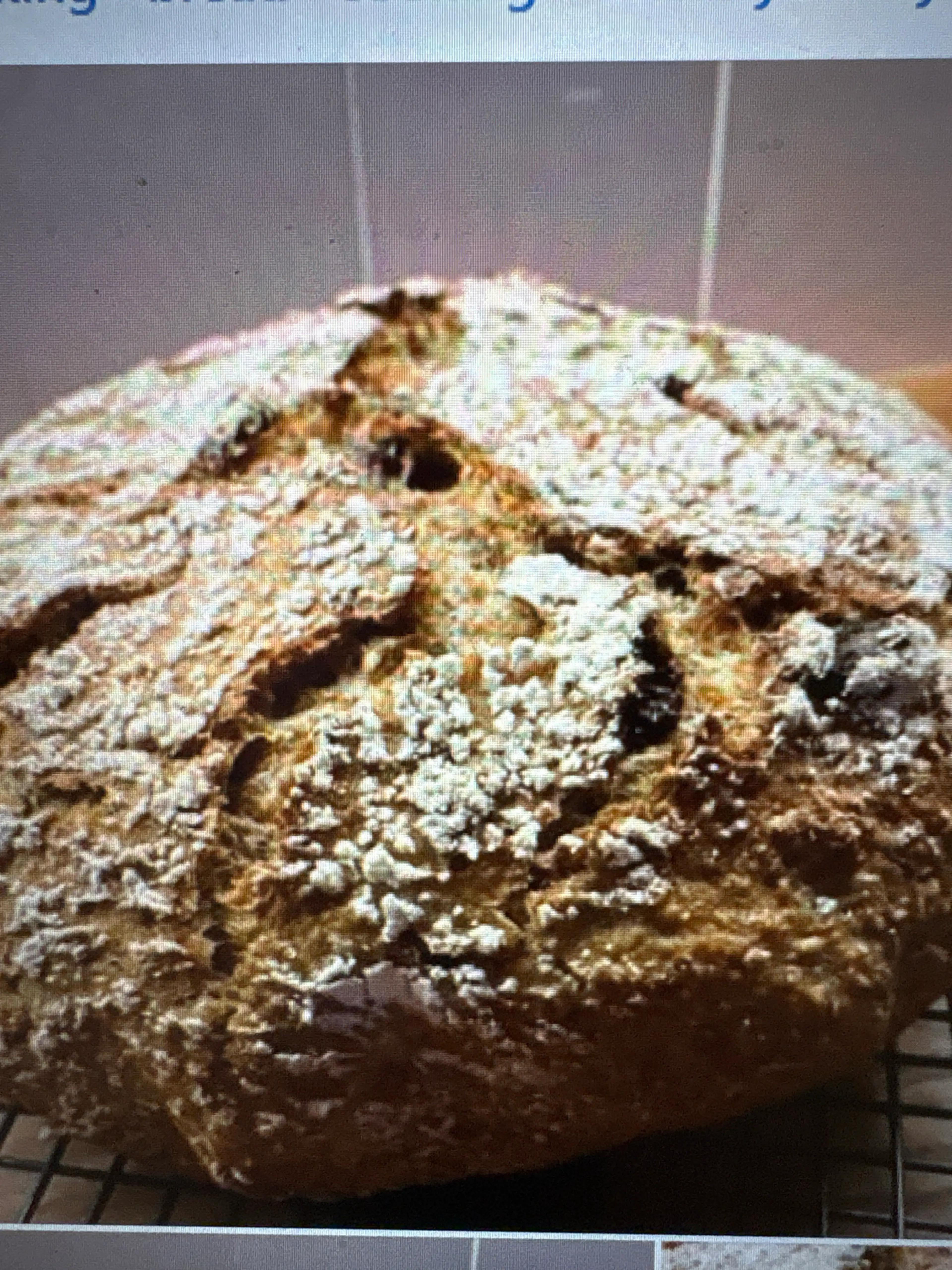 Pumpkin Seed, Walnut & Cranberry Wholewheat Loaf