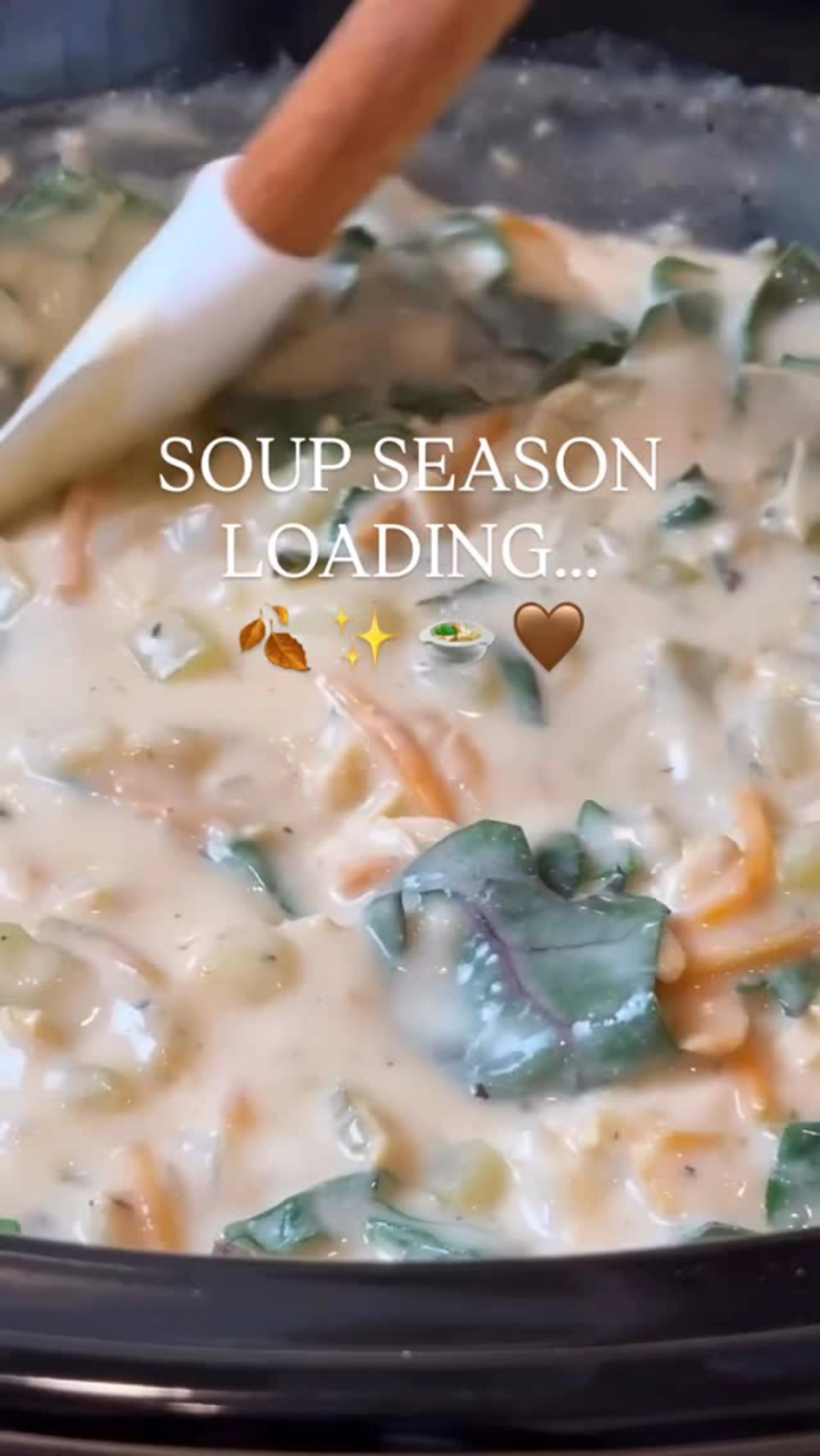 Chicken Gnocchi Soup