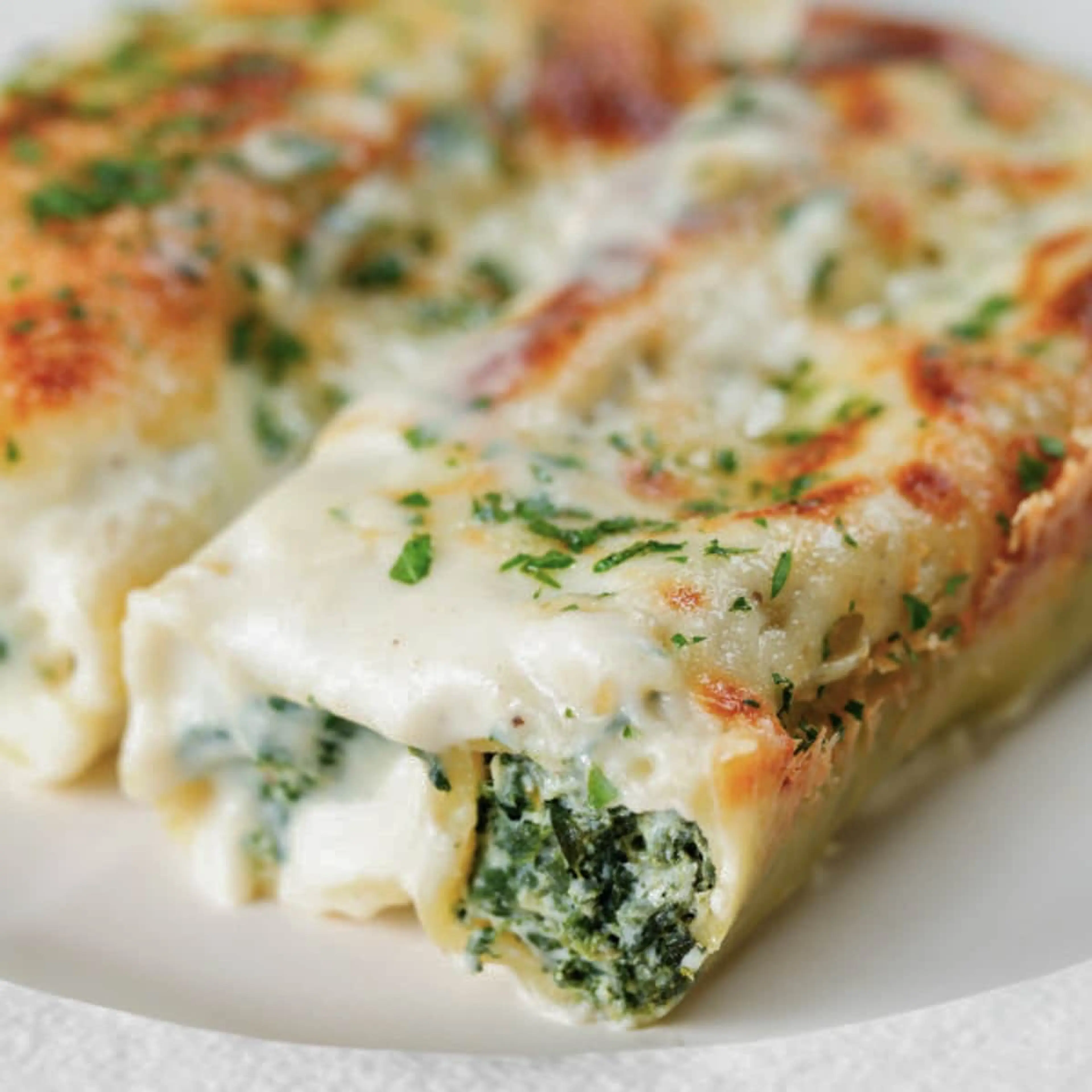 Spinach Ricotta Cannelloni - White Sauce
