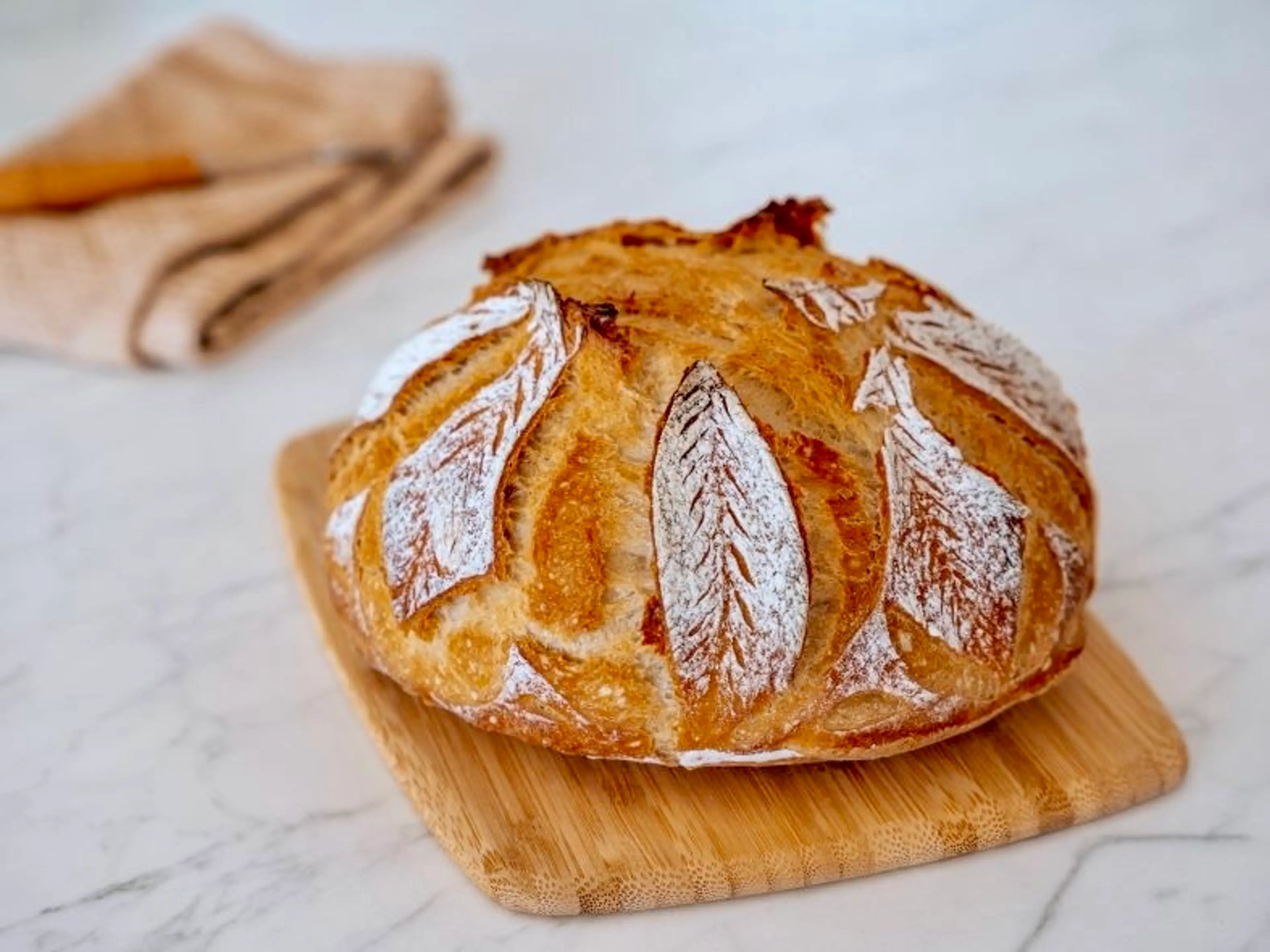 Pain sans pétrissage