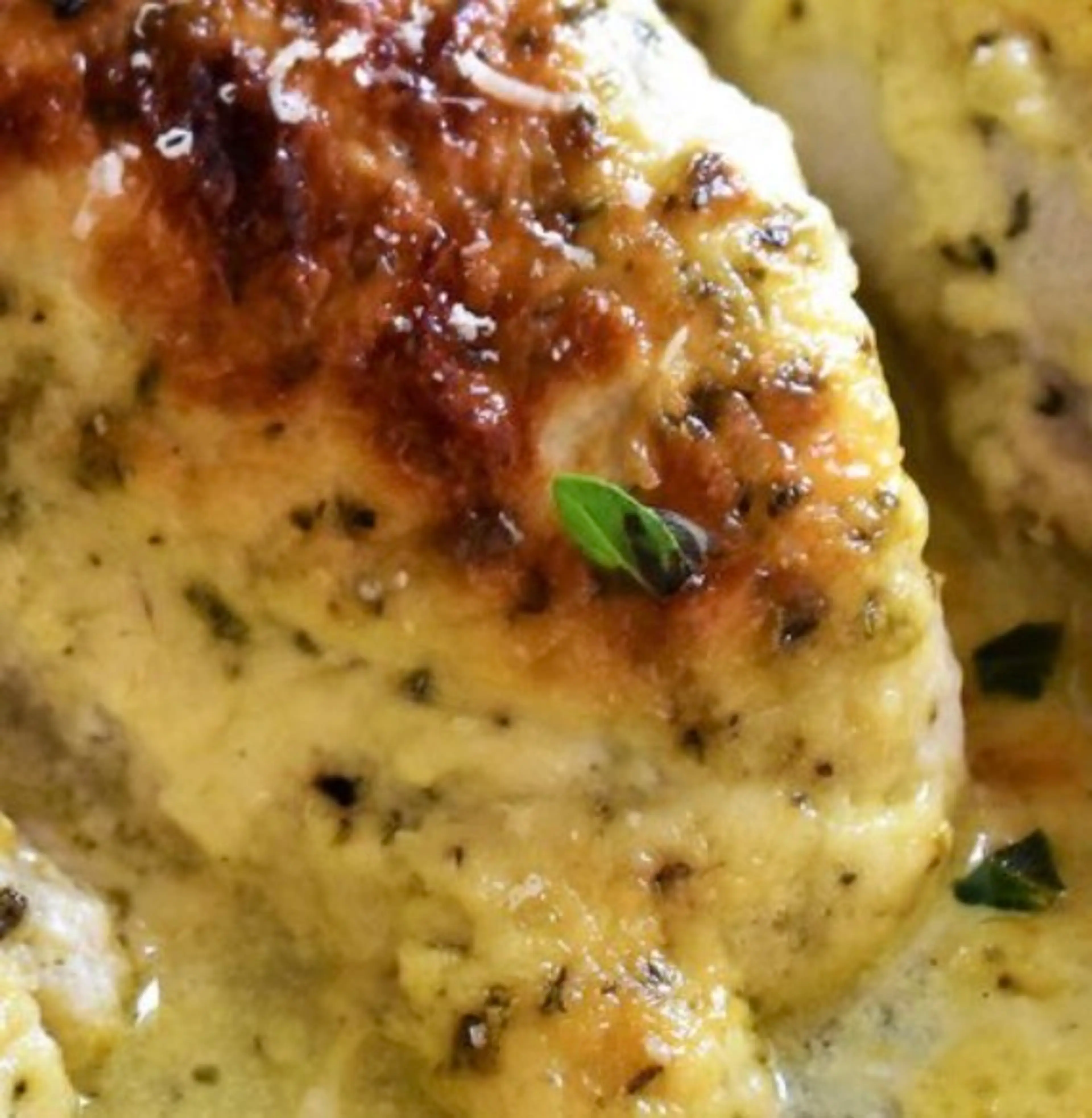 Asiago Sauce, Chicken