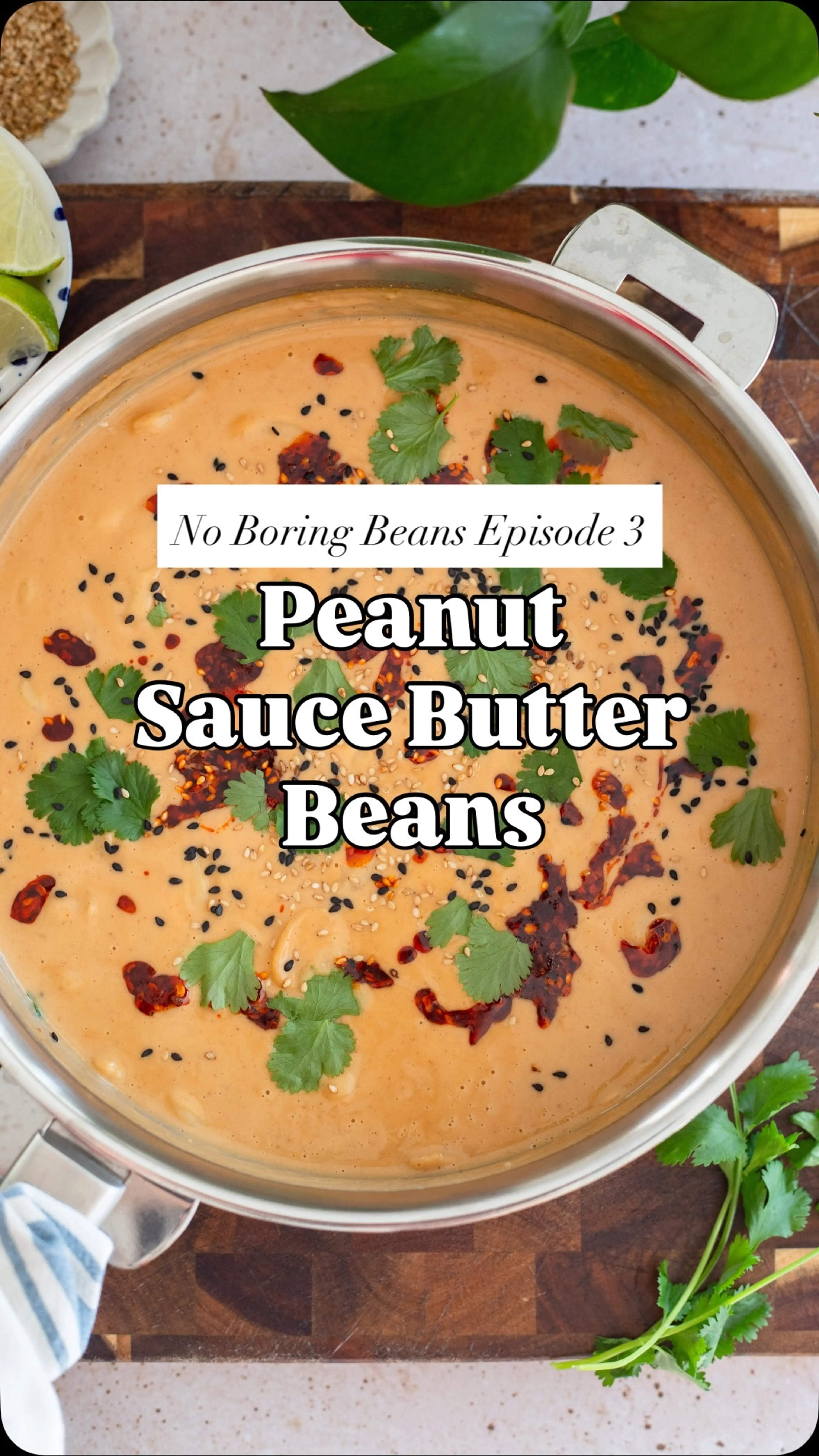 Episode No. 3 of No Boring Beans || Peanut Sauce Butter Bean
