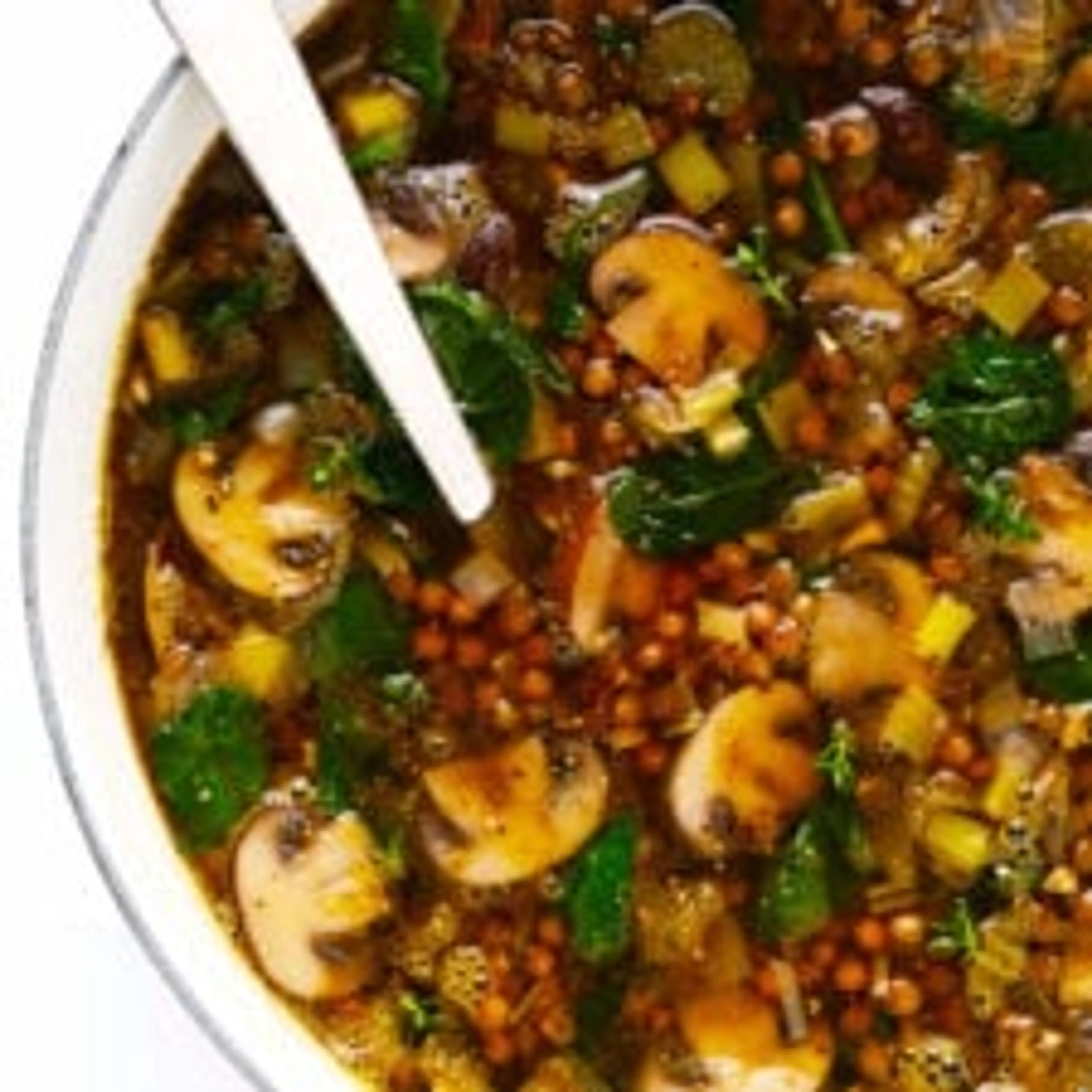 French Lentil and Mushroom Soup