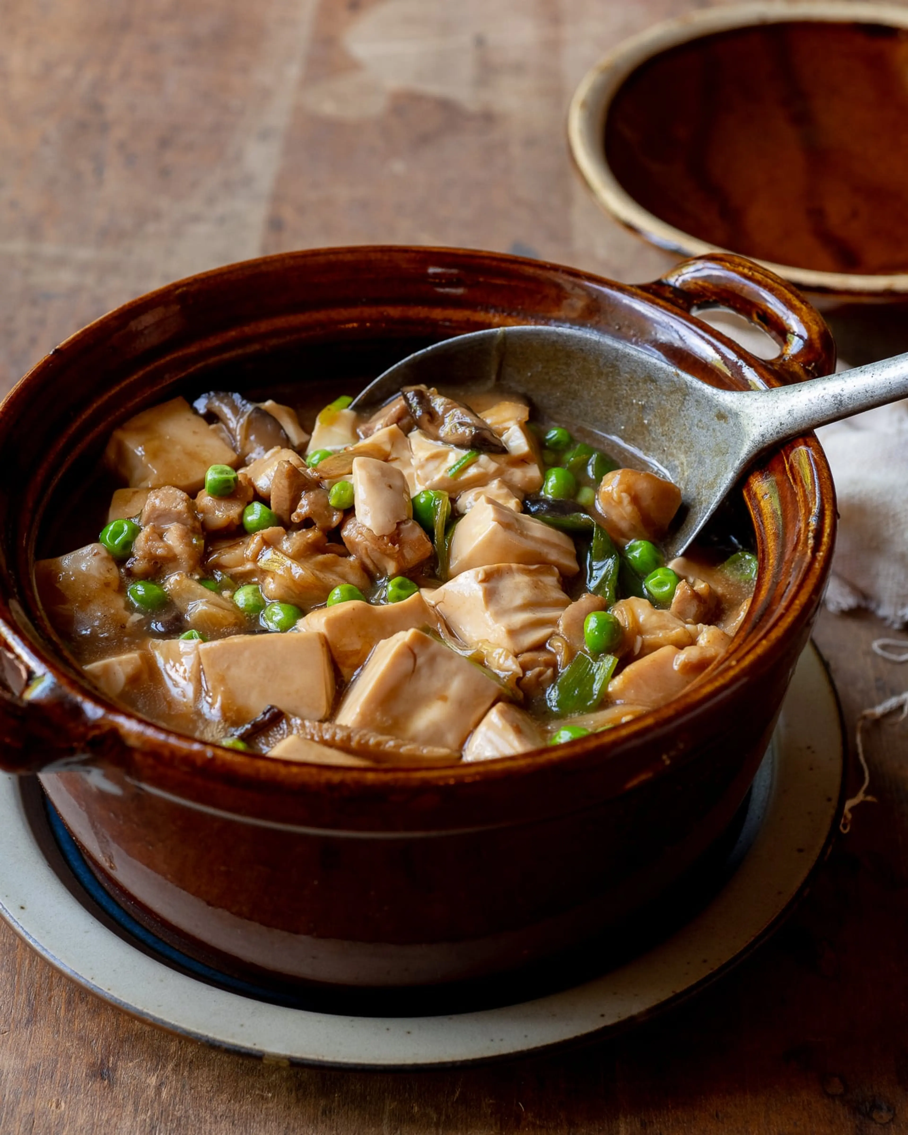 Chicken & Soft Tofu Casserole - 鸡粒豆腐煲