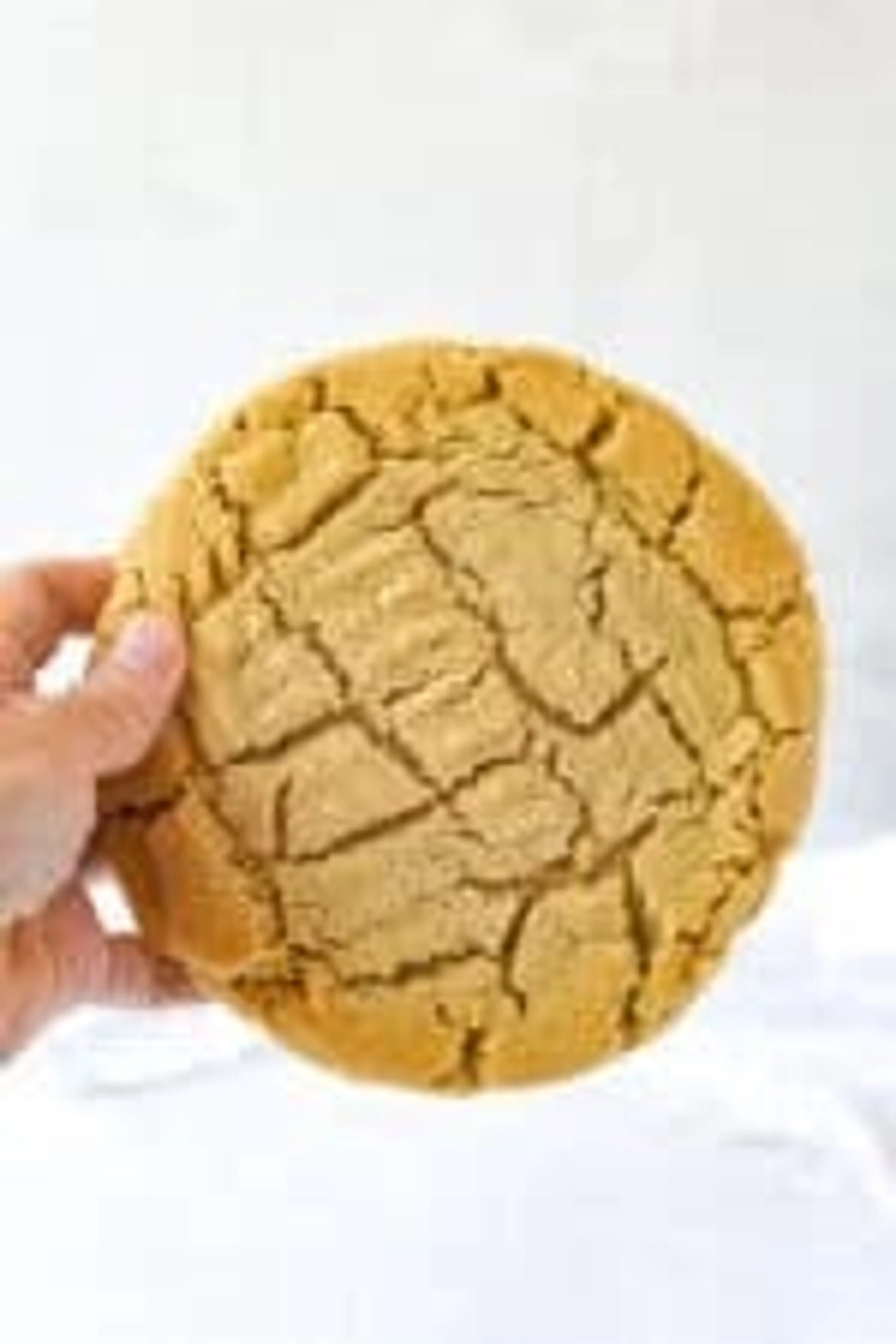 Giant Peanut Butter Cookie