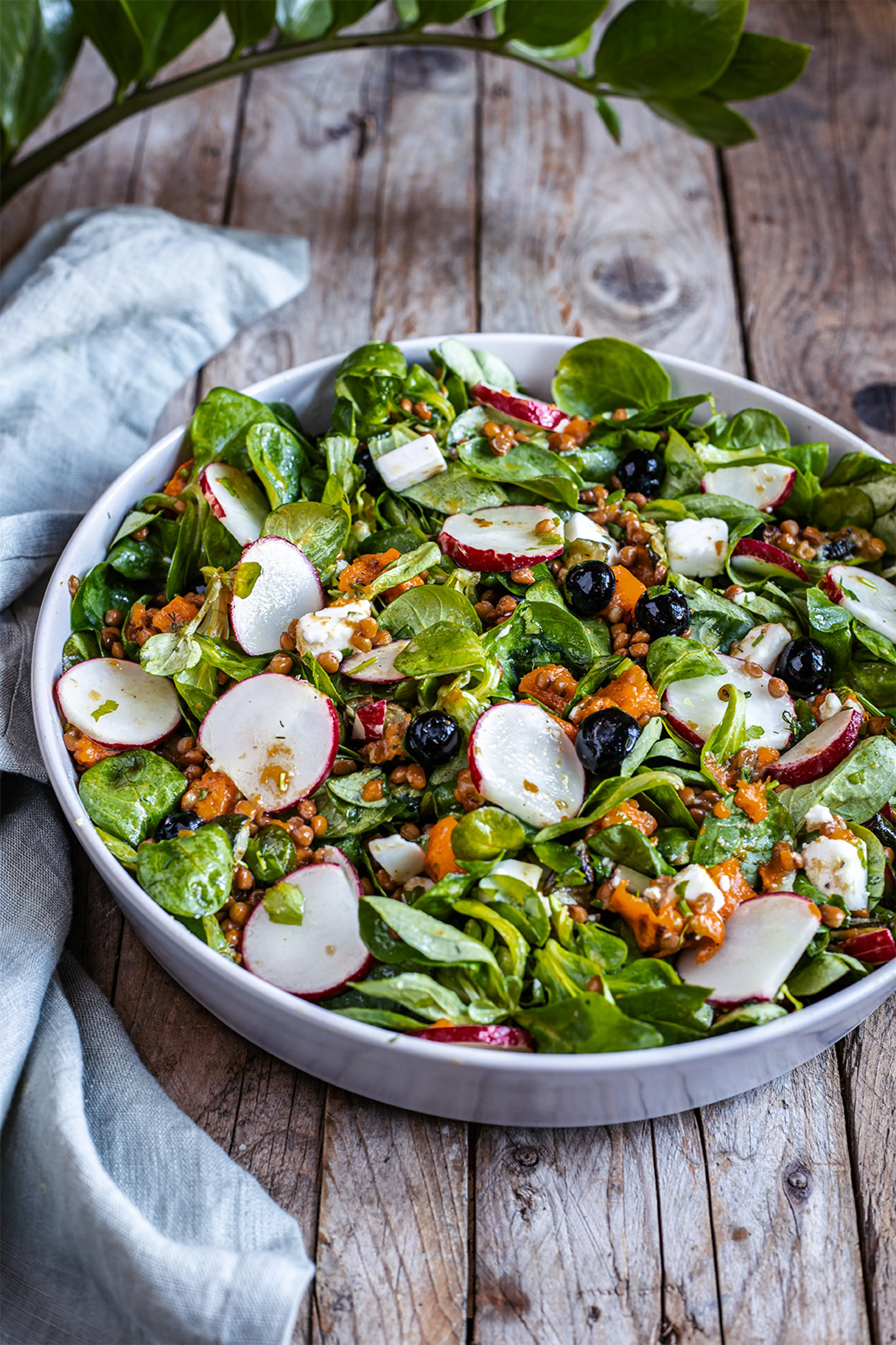 Feldsalat mit Linsen, Süßkartoffel und Zucchini