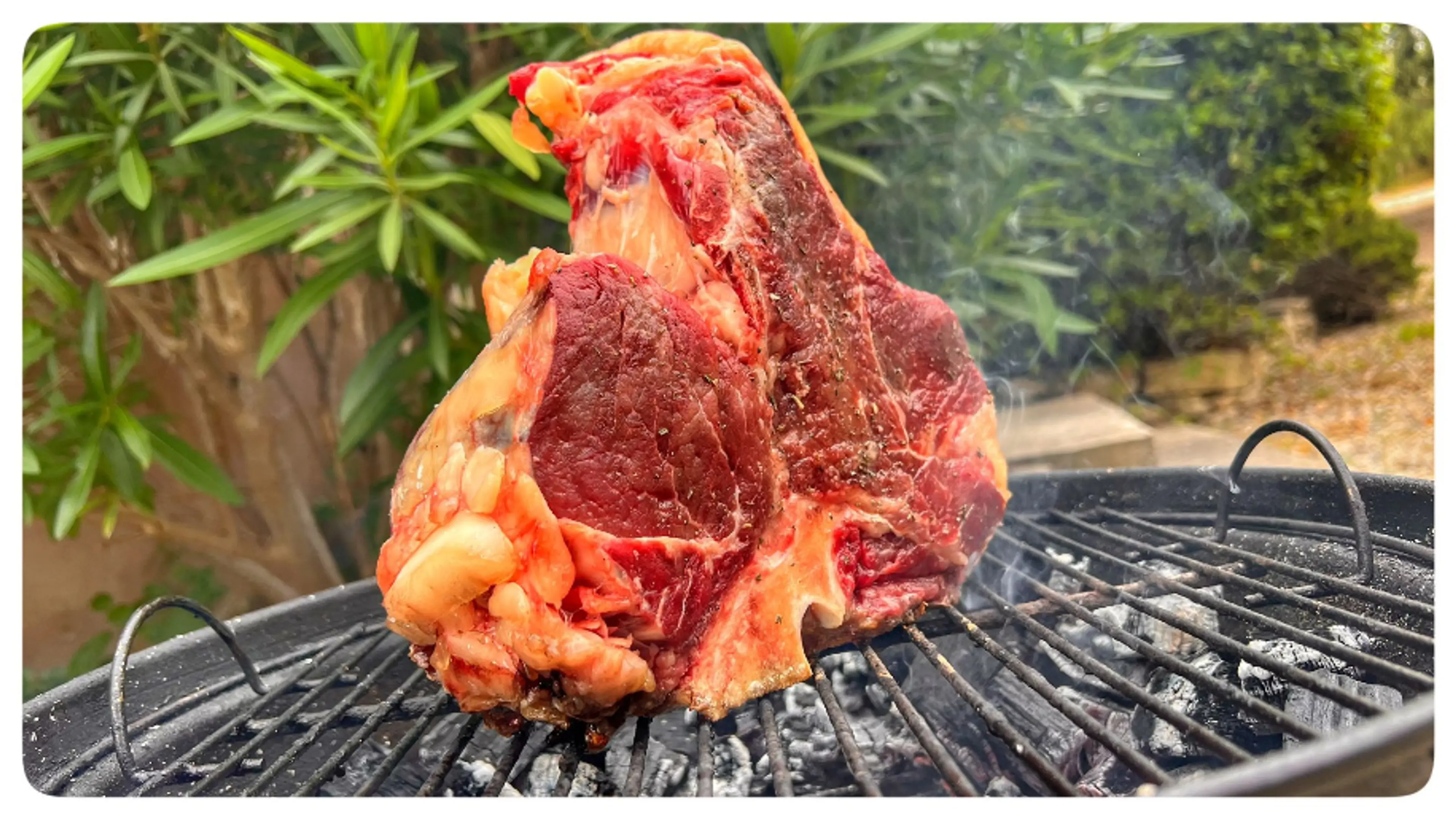 Bistecca Fiorentina