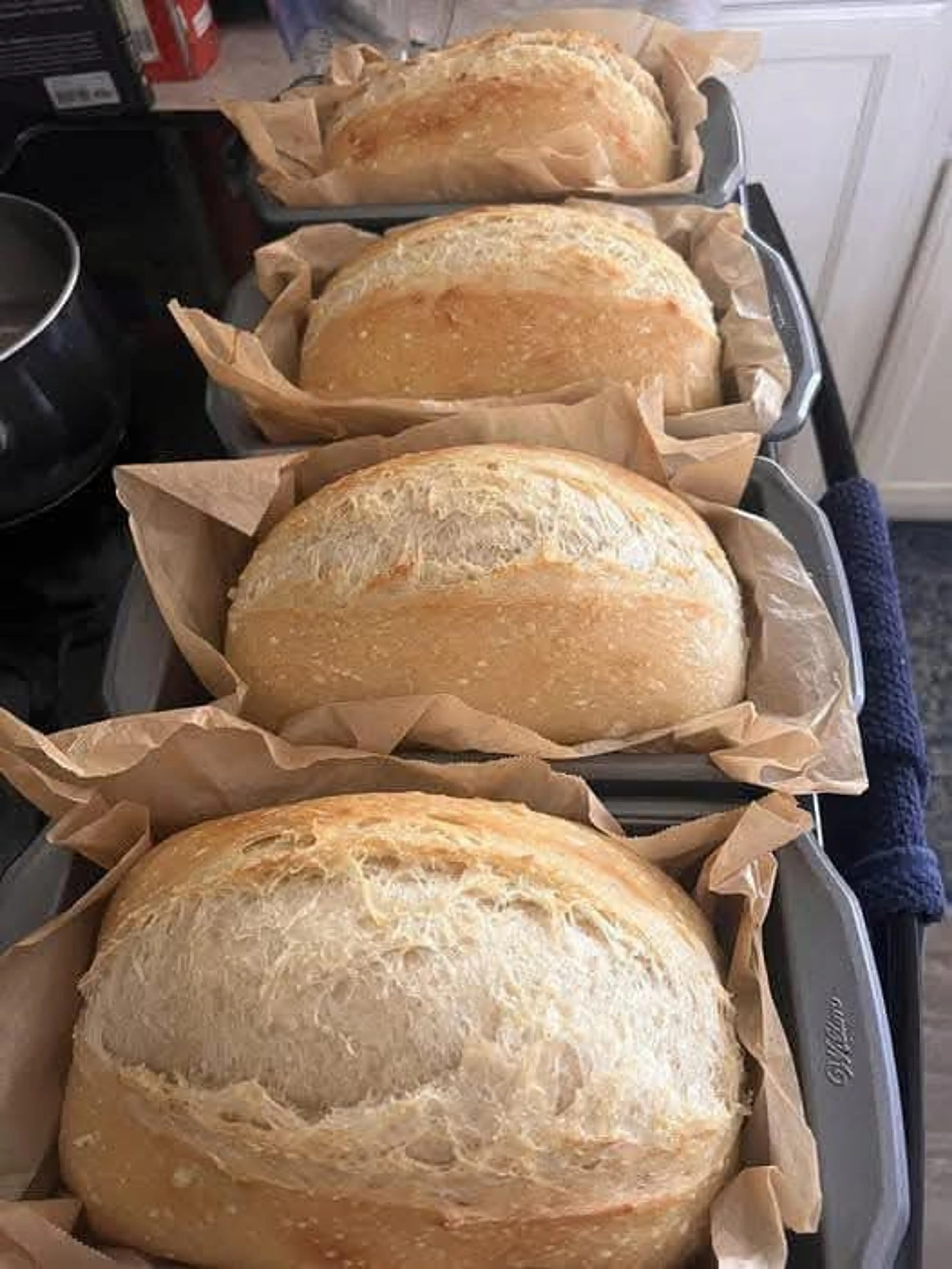 Sandwich Bread No Kneading