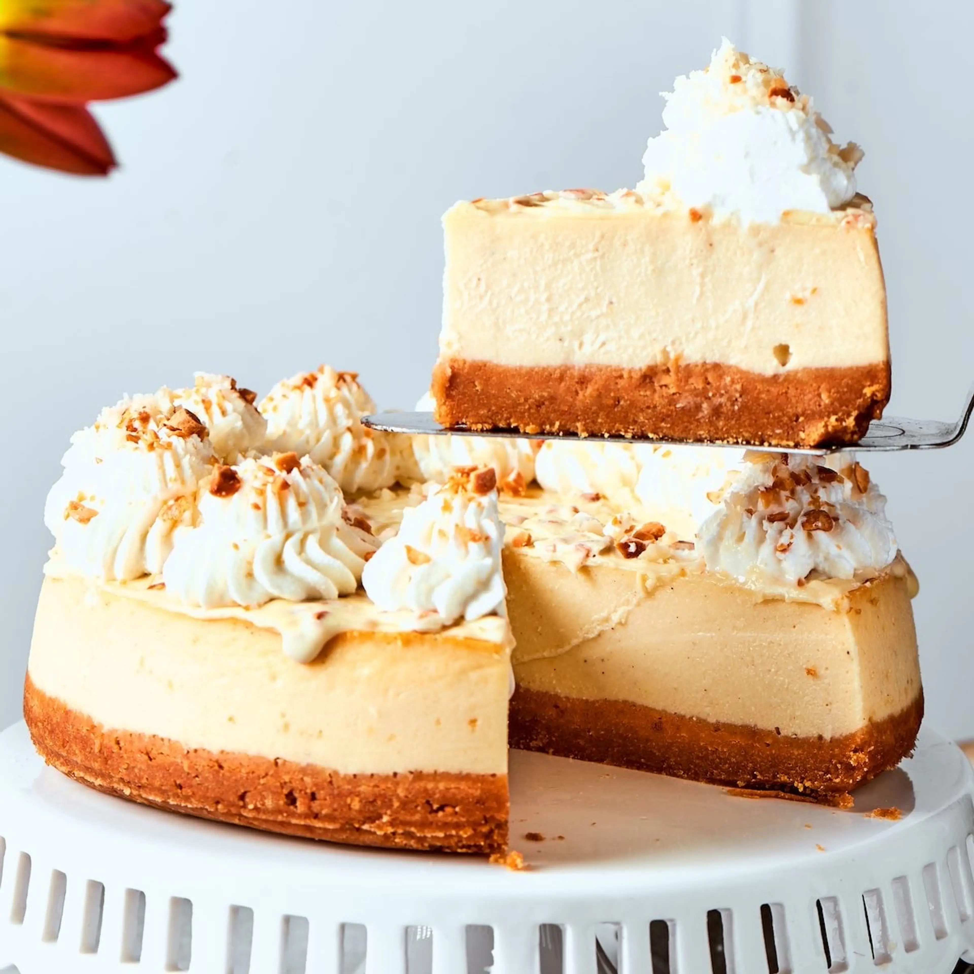 Cottage Cheese Cheesecake