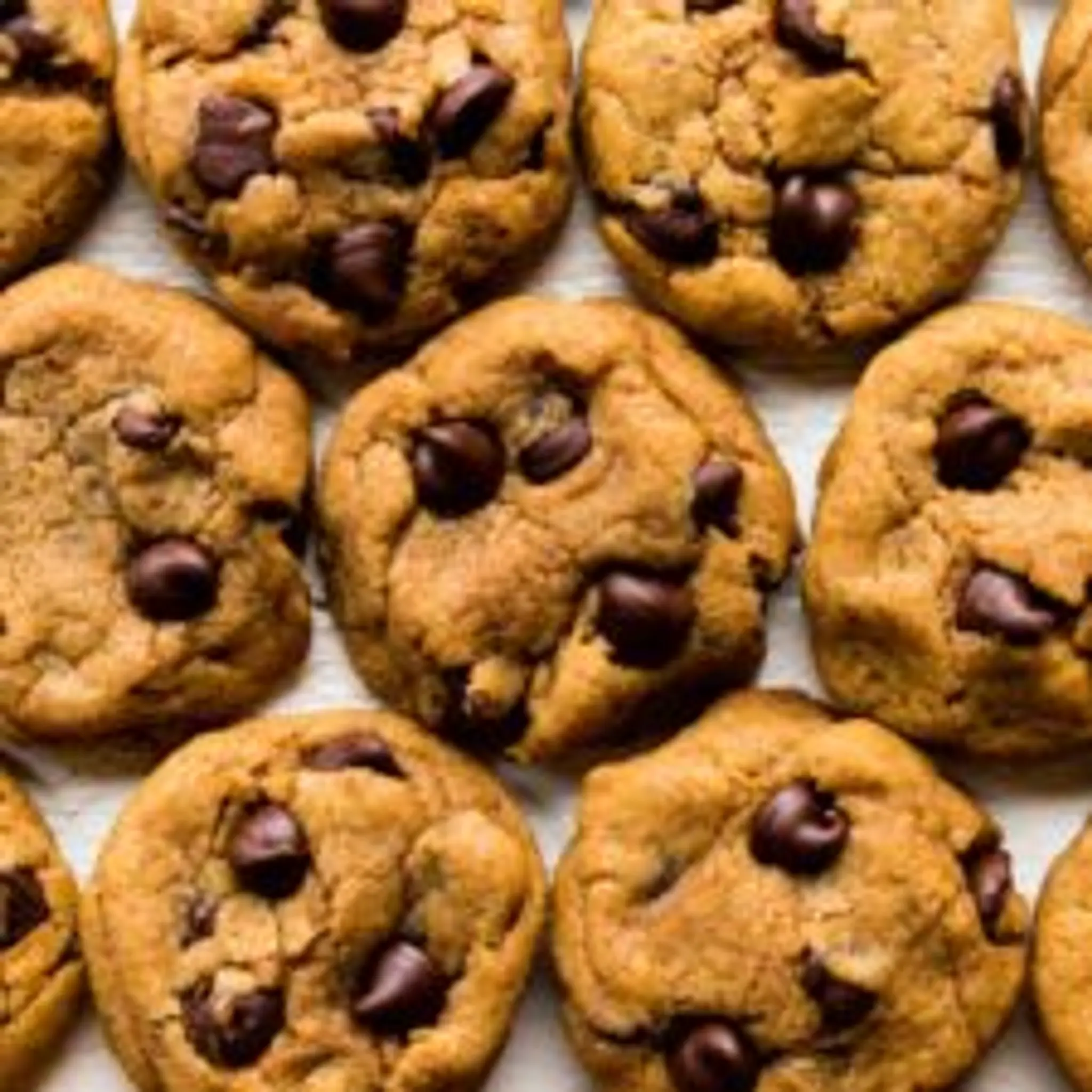 Chewy Pumpkin Chocolate Chip Cookies
