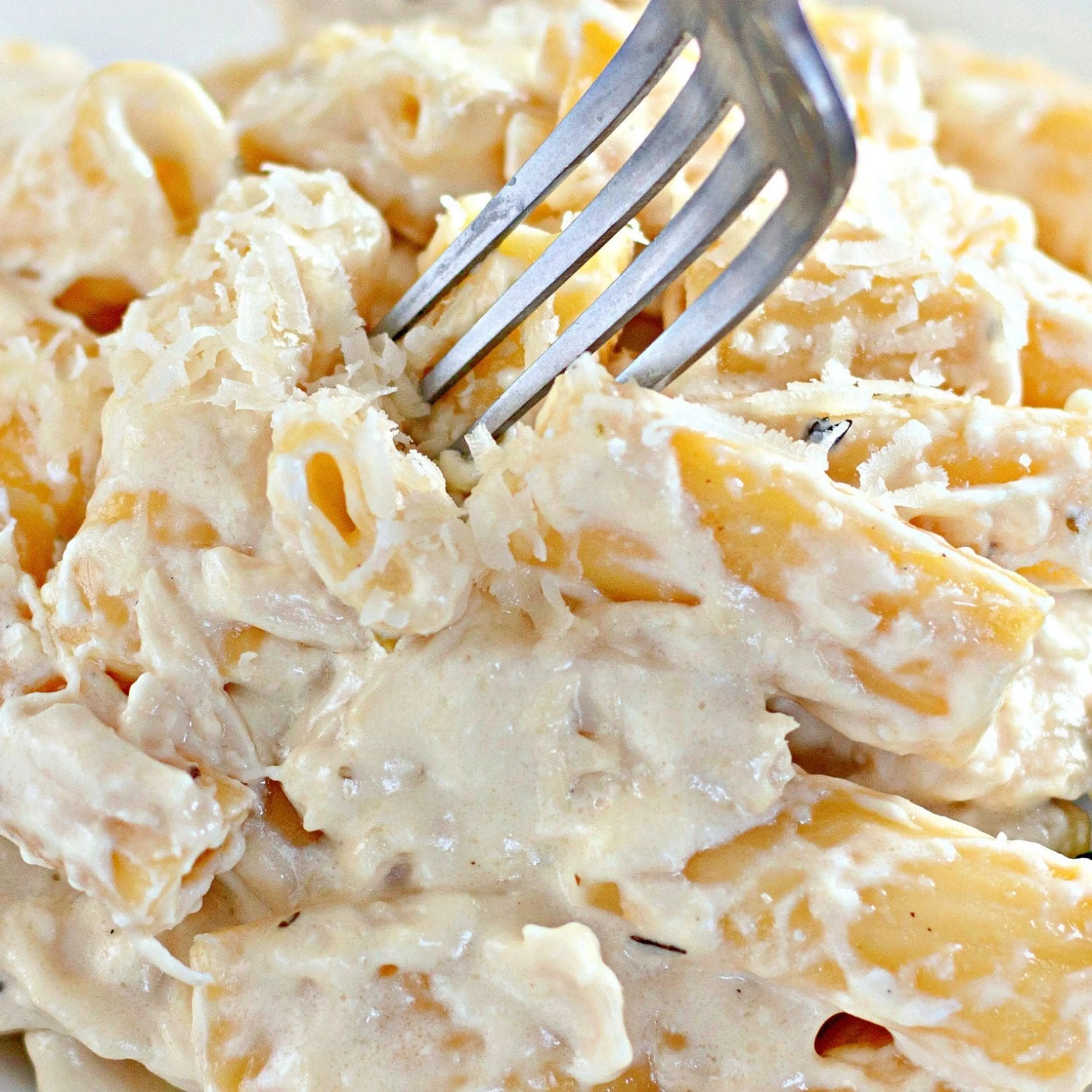 Slow Cooker Rigatoni Chicken Alfredo