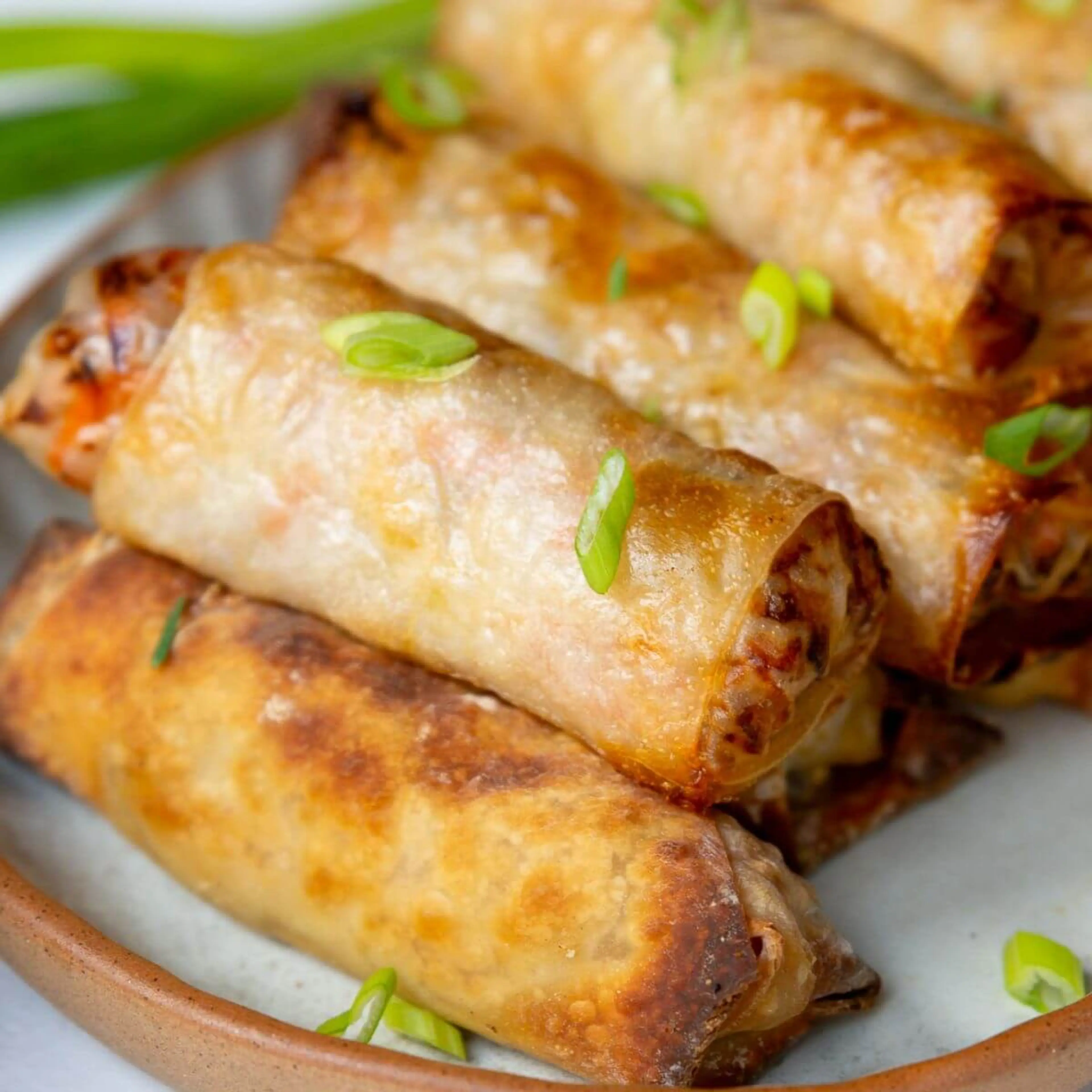 Air Fryer Spring Rolls