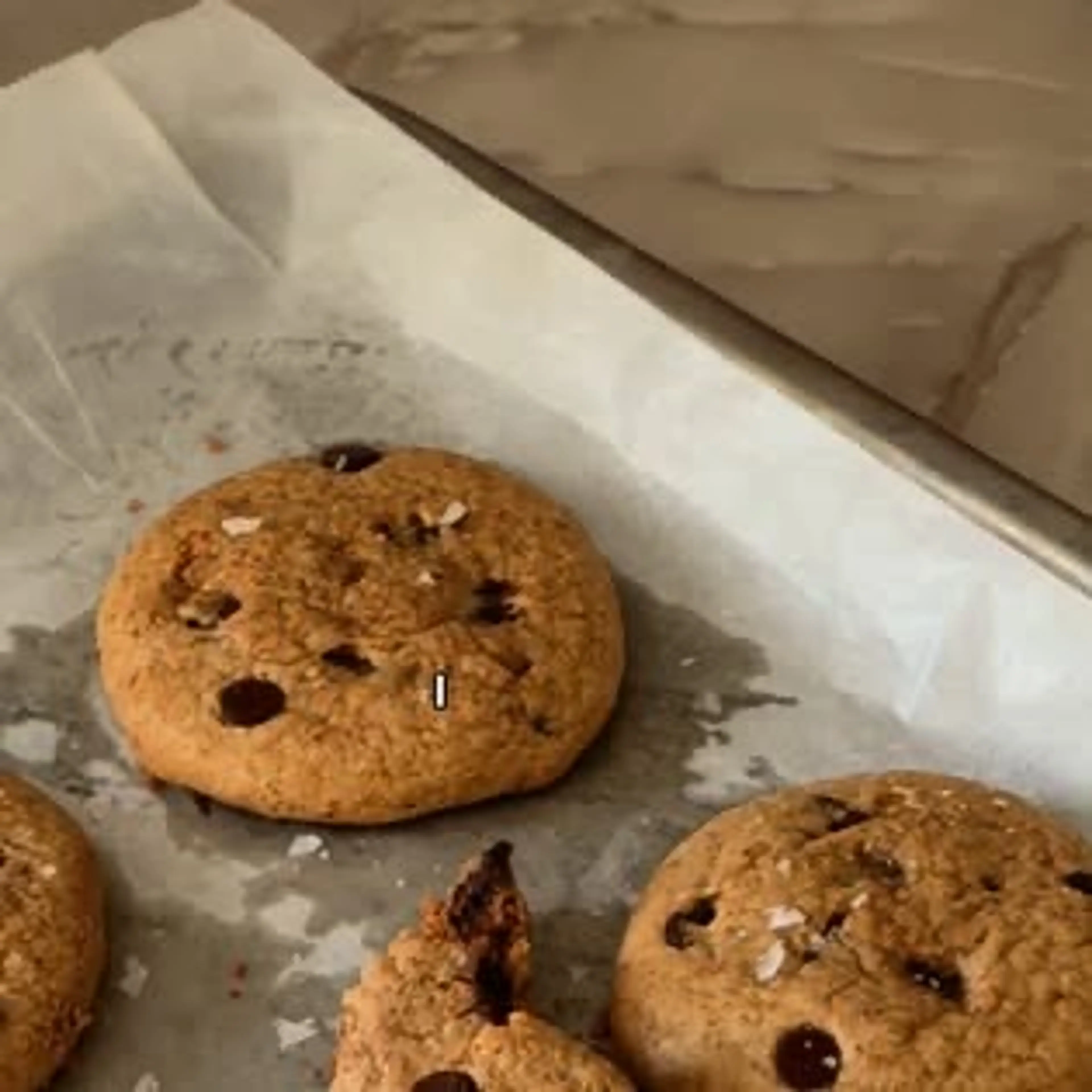 Protein Chocolate Chip Cookies