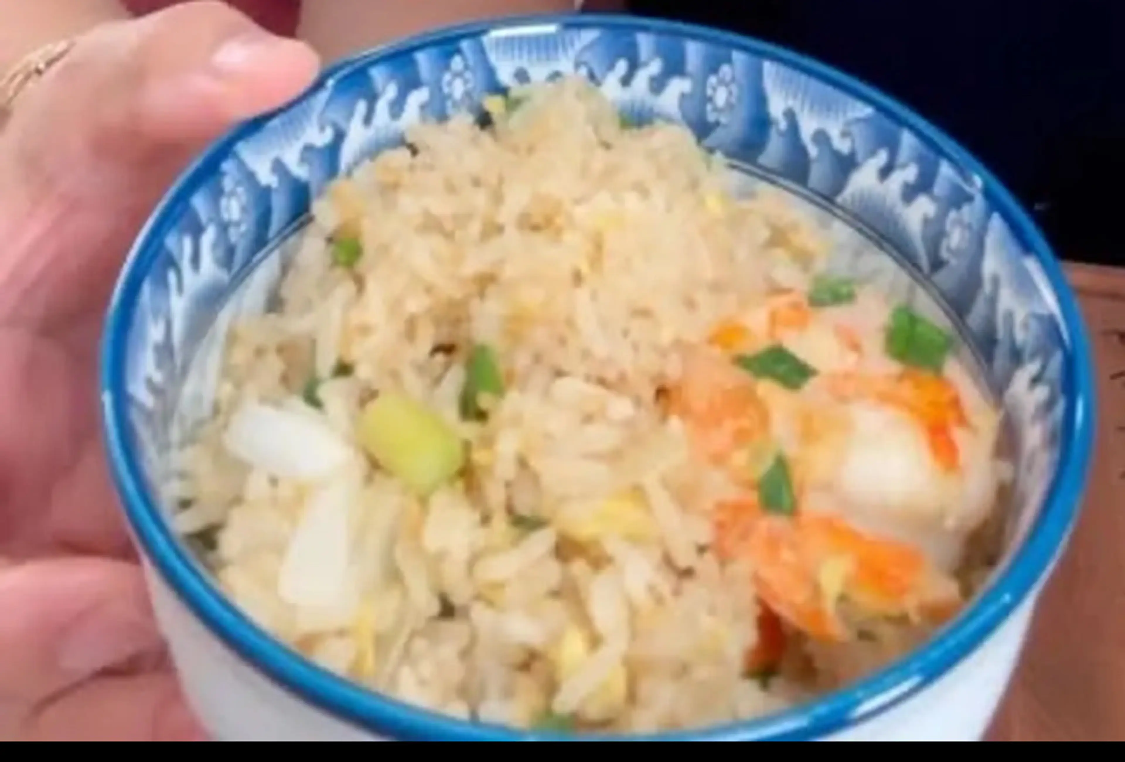 Protein Fried Rice