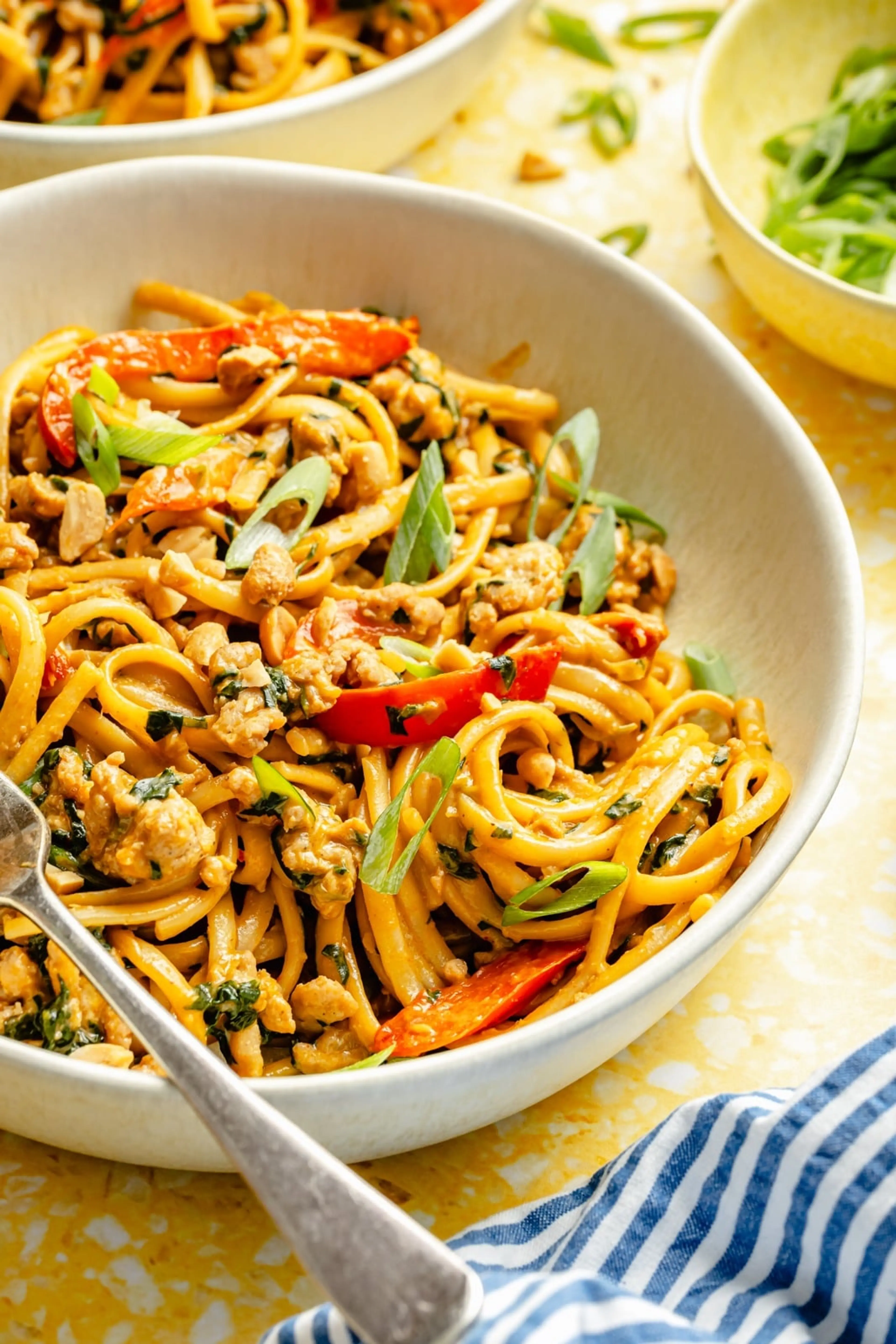30-Minute Chicken Peanut Noodles