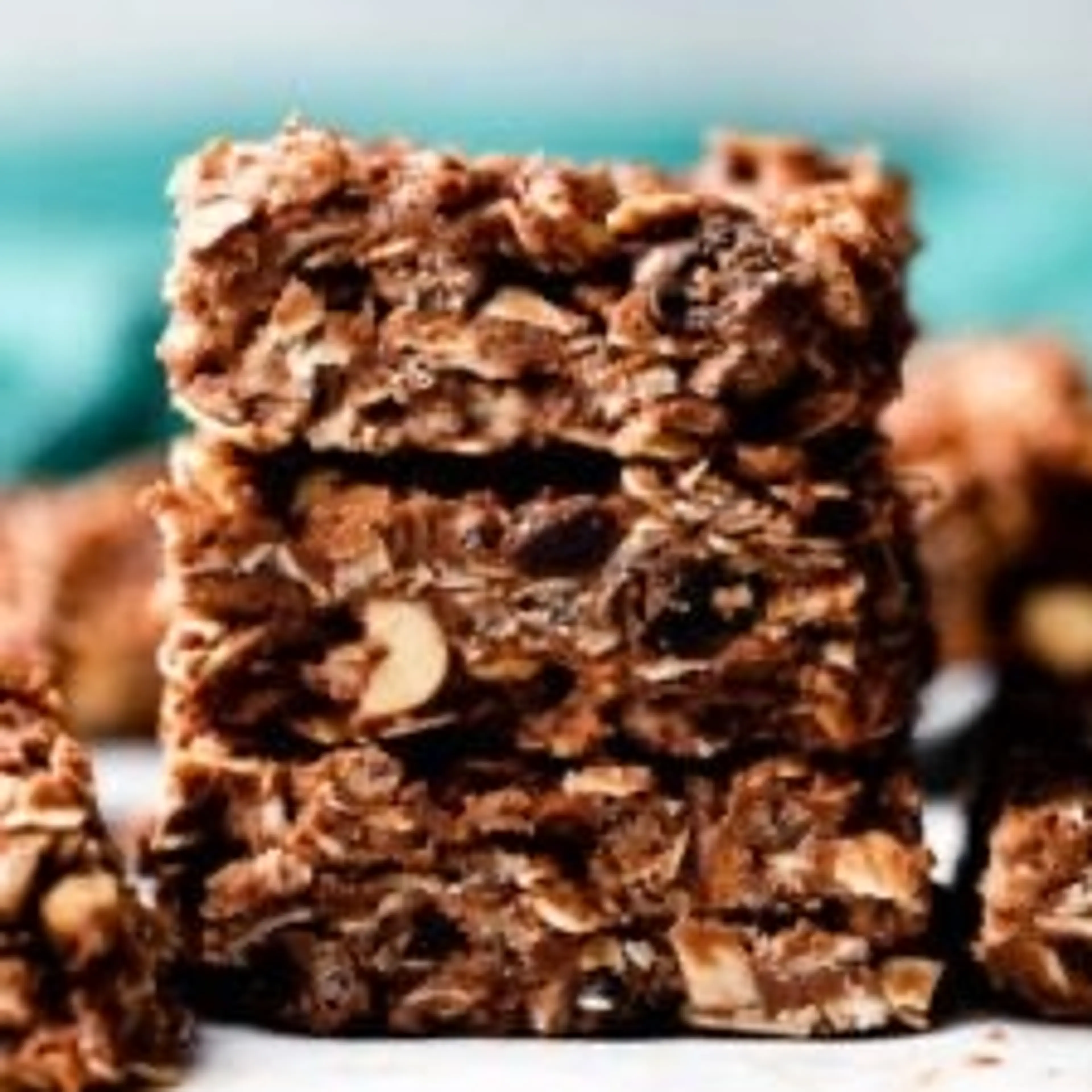 No-Bake Chocolate Fudge Oat Bars
