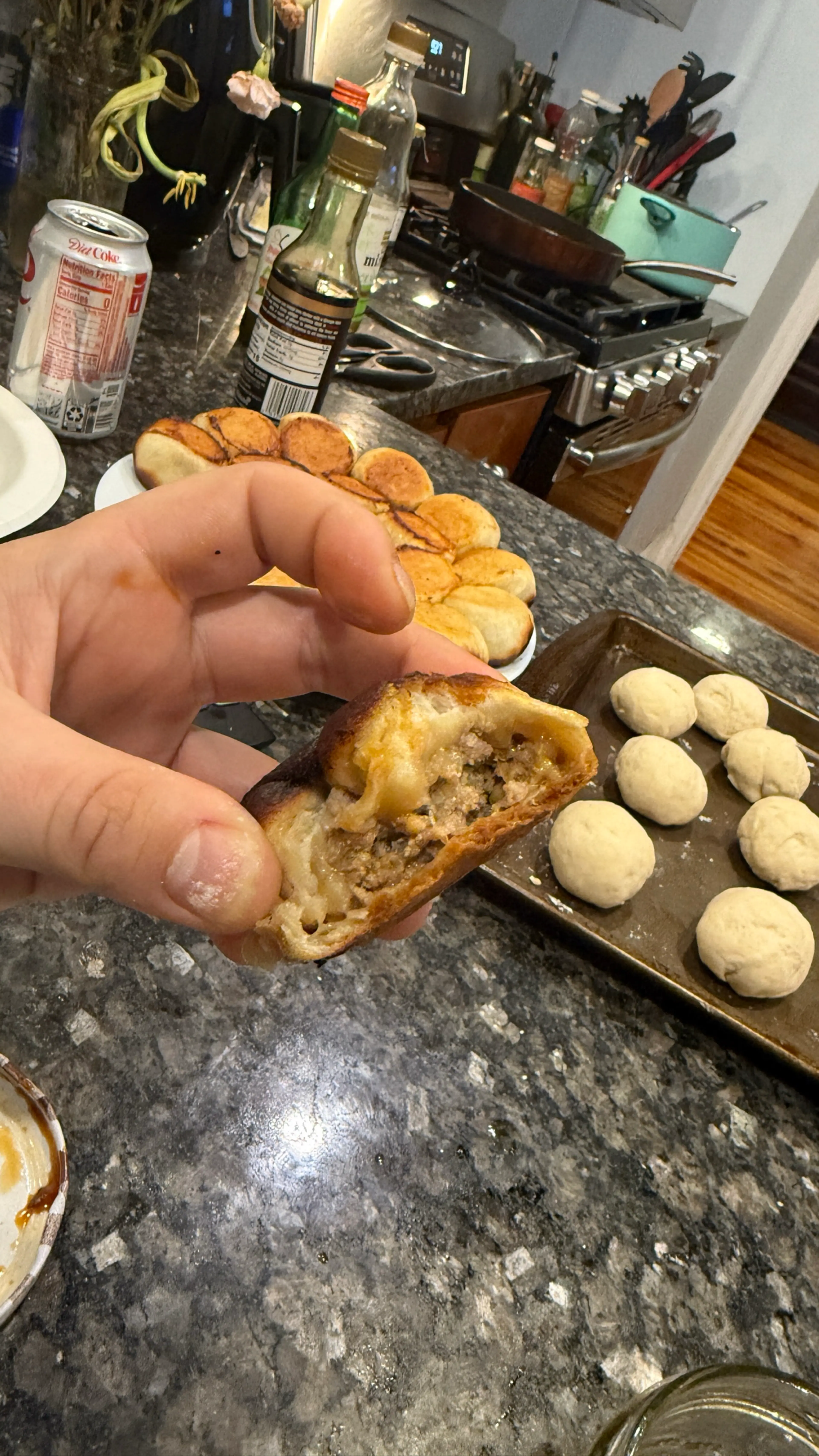 Pan Fried Soup Dumplings