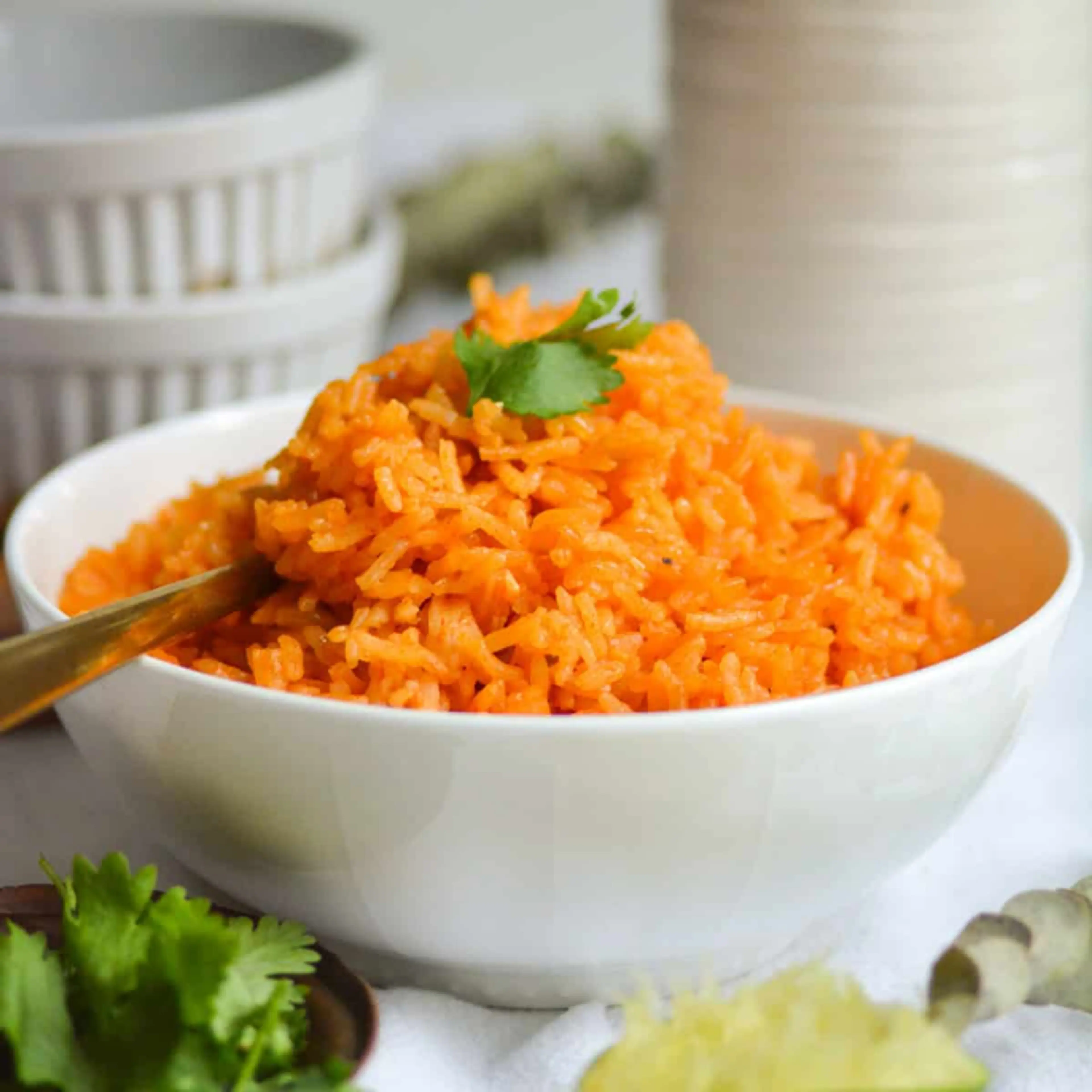 Vegan Mexican Rice (Gluten Free!)