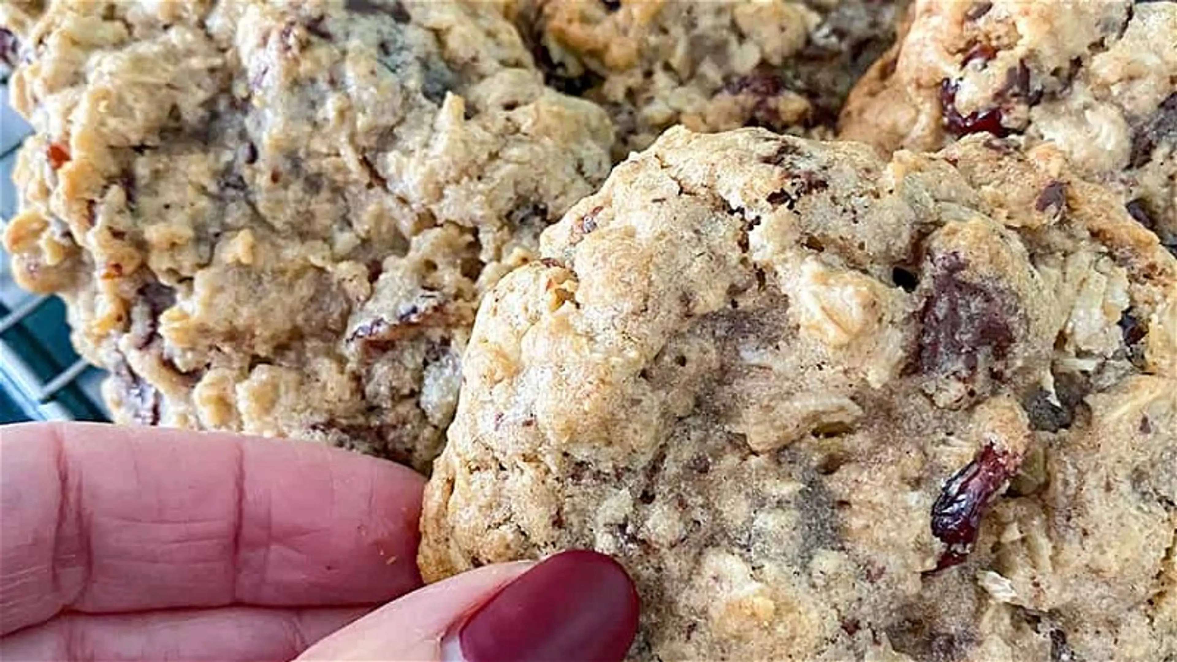 Chocolate Chunk Oatmeal Cookies With Cranberries