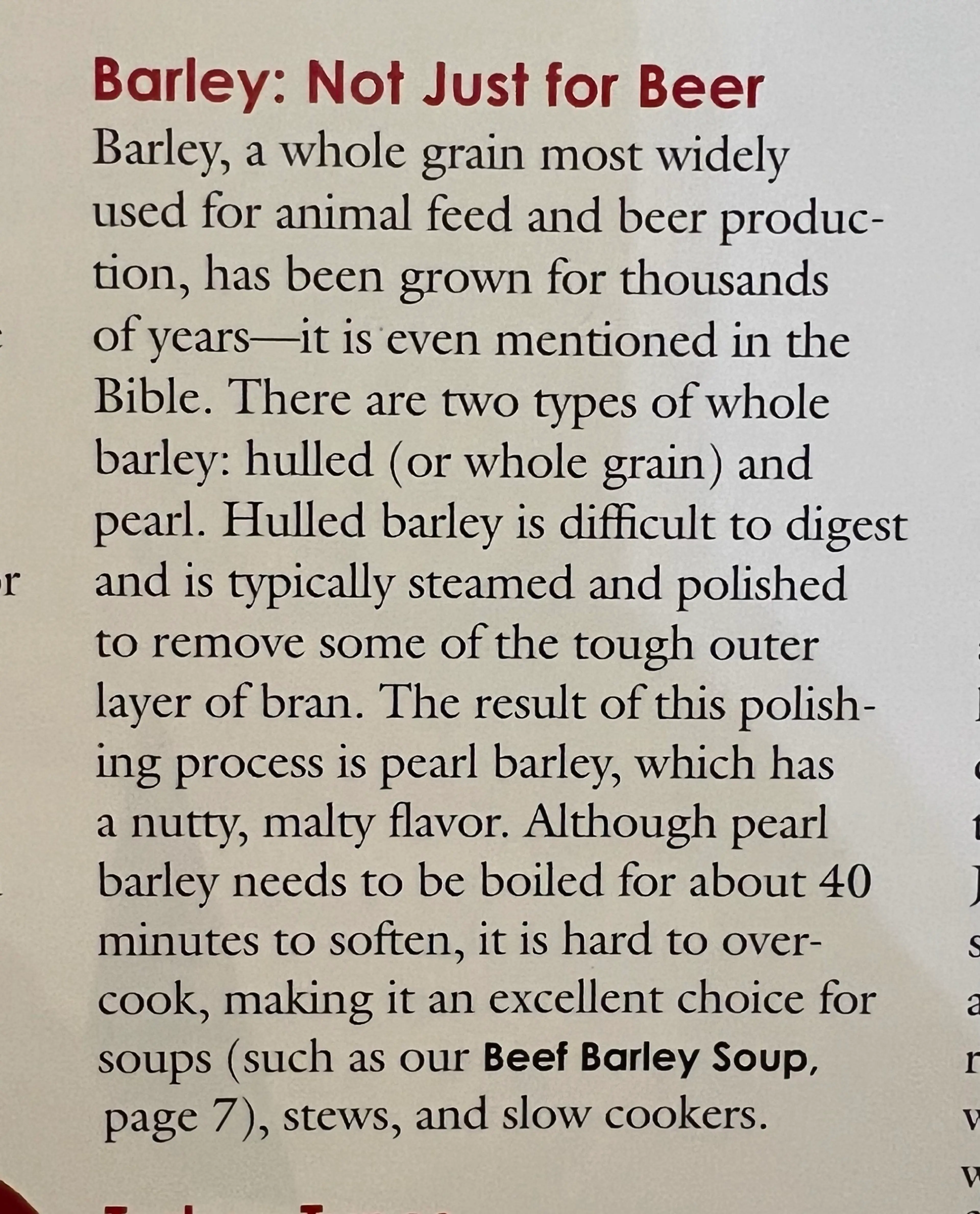 Beef Barley Soup (ATK)