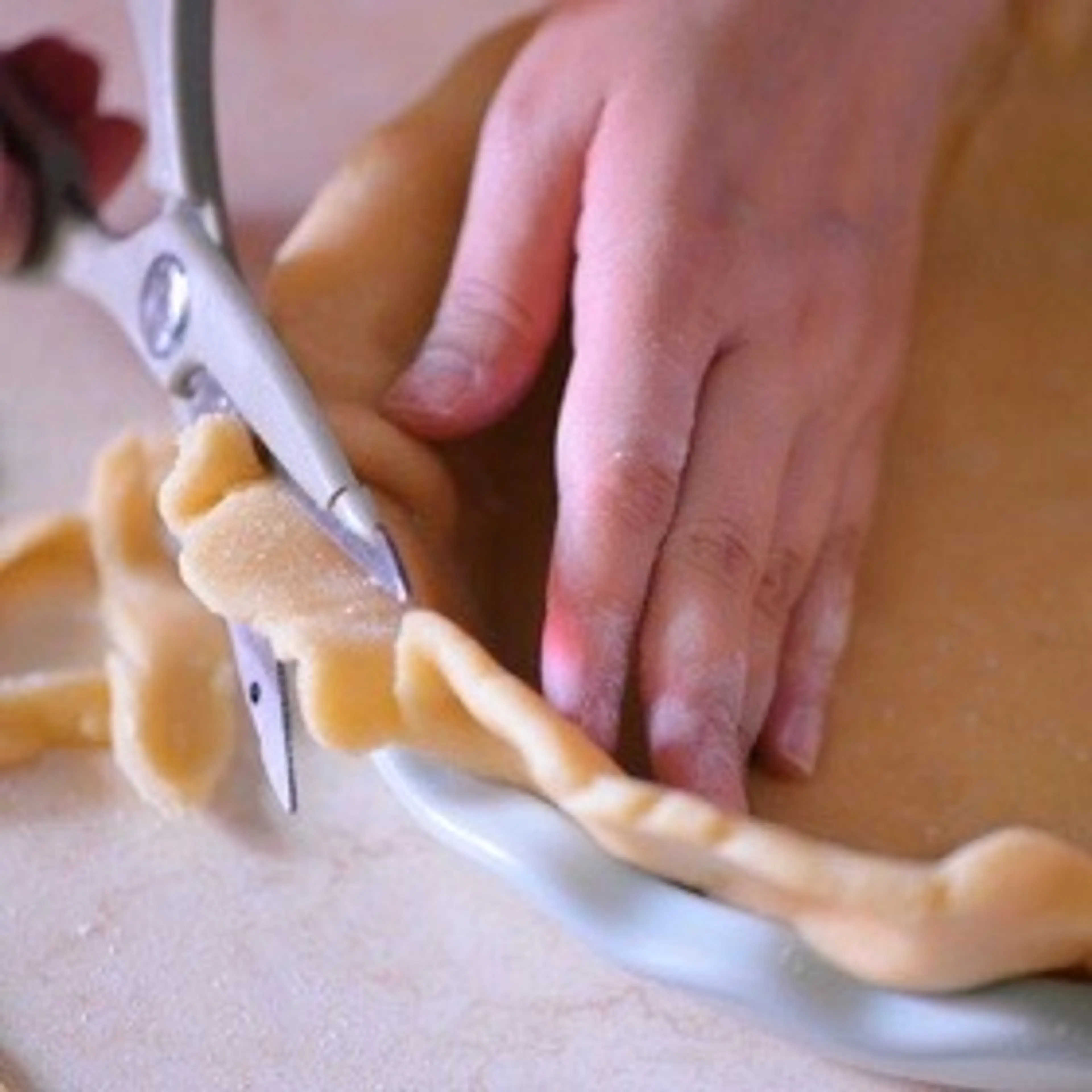 Double Crust 10-Inch Pie Dough
