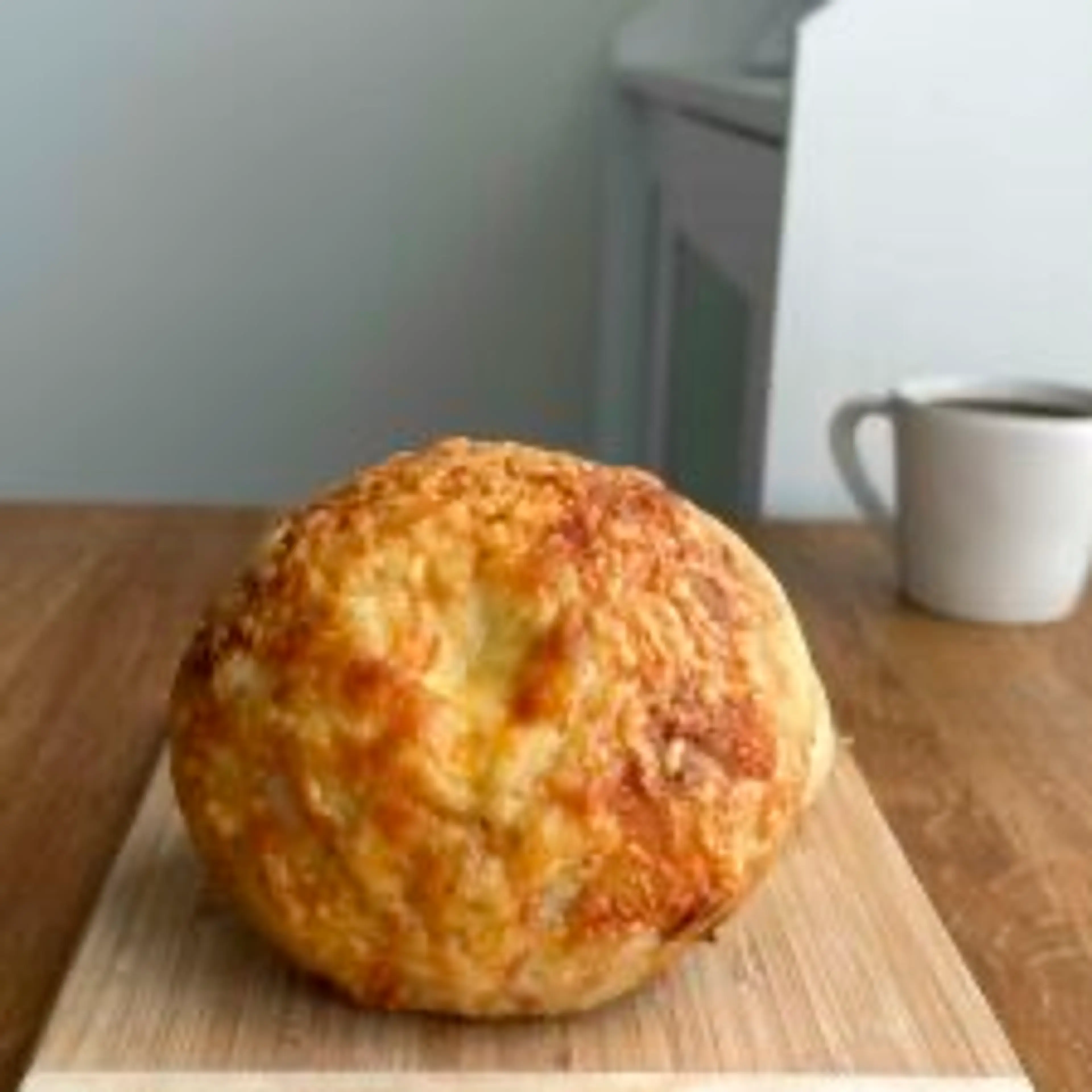 Asiago Sourdough Bagels