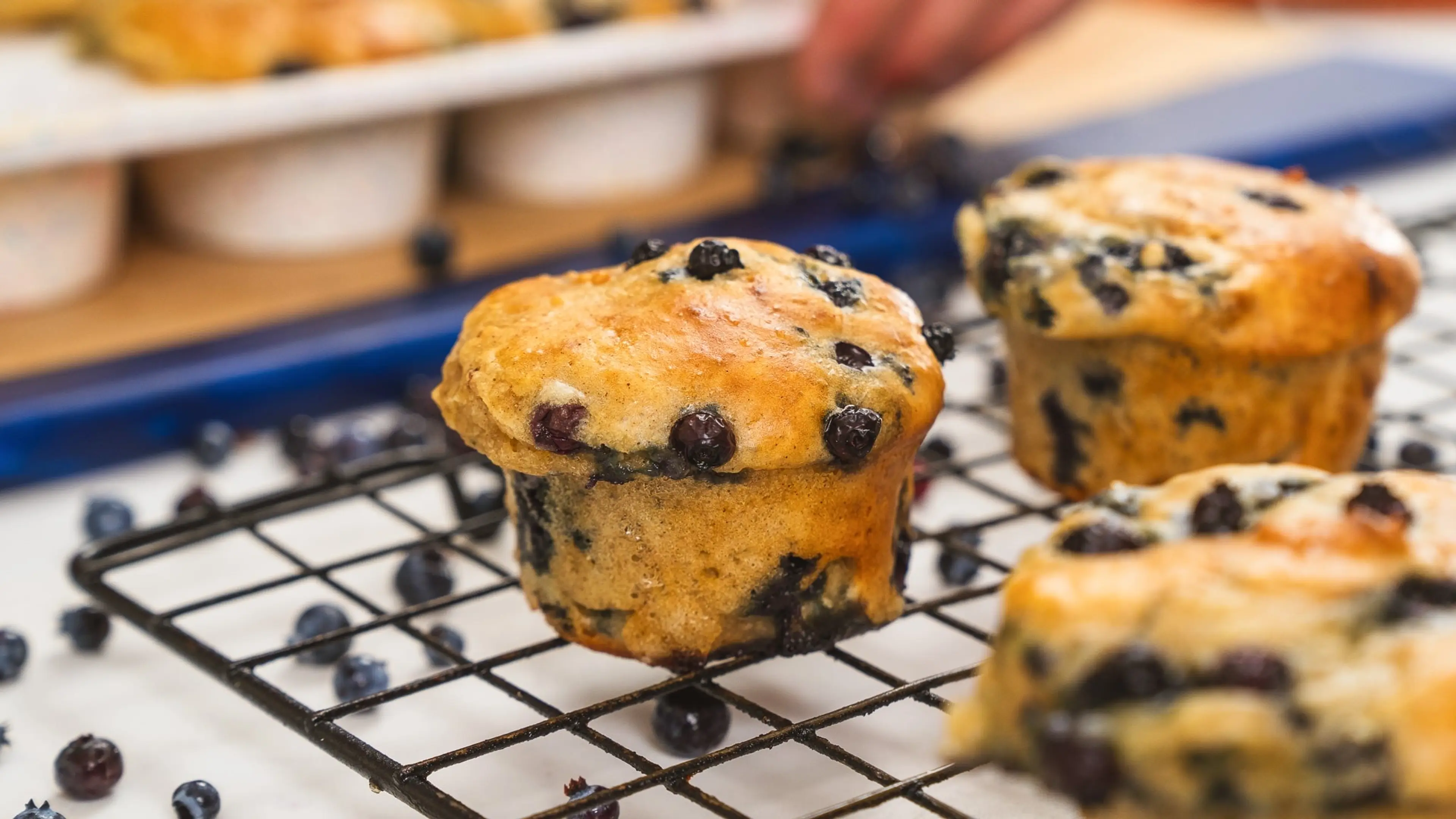 Andy’s Cottage Cheese Blueberry Muffins