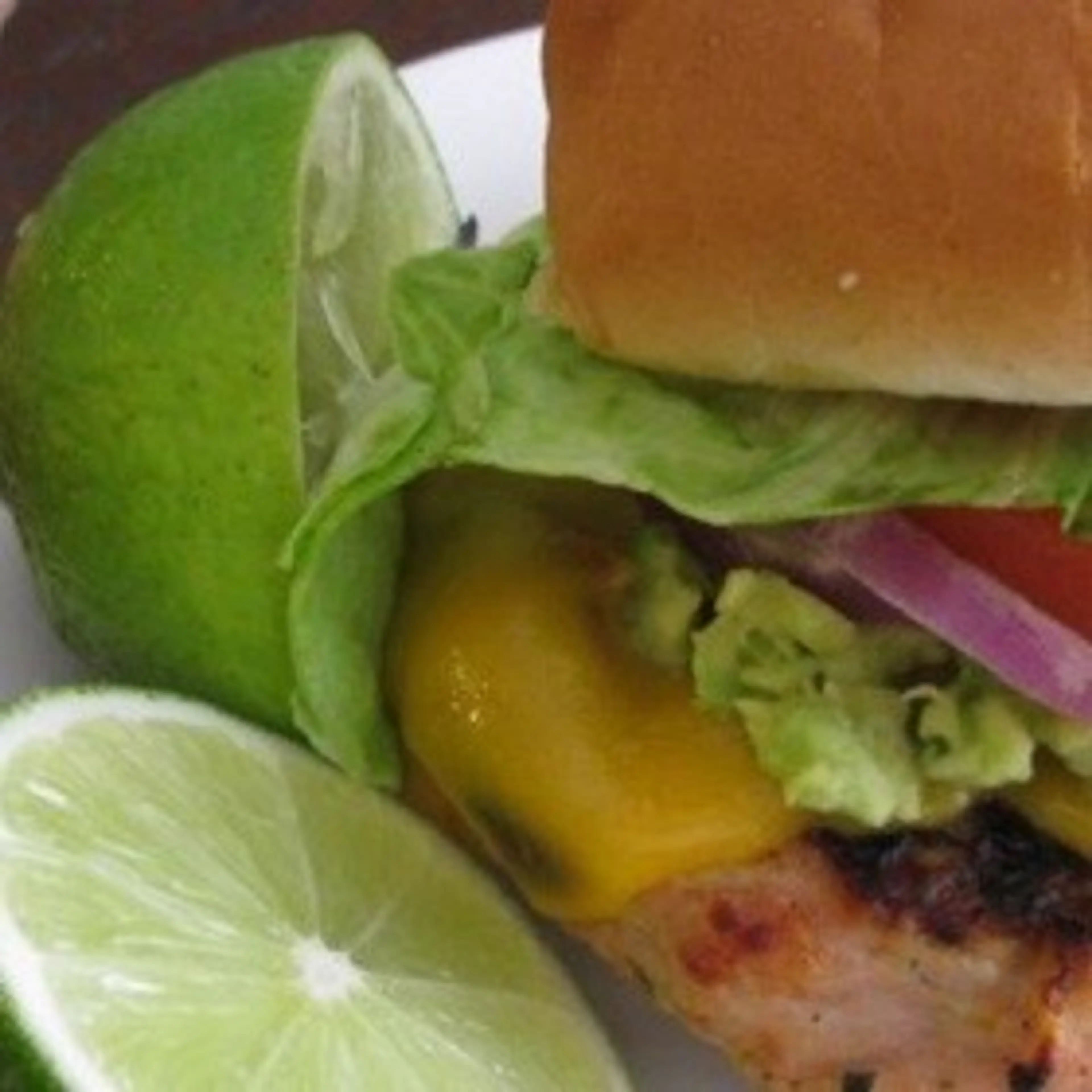 Fantastic Chicken Burgers