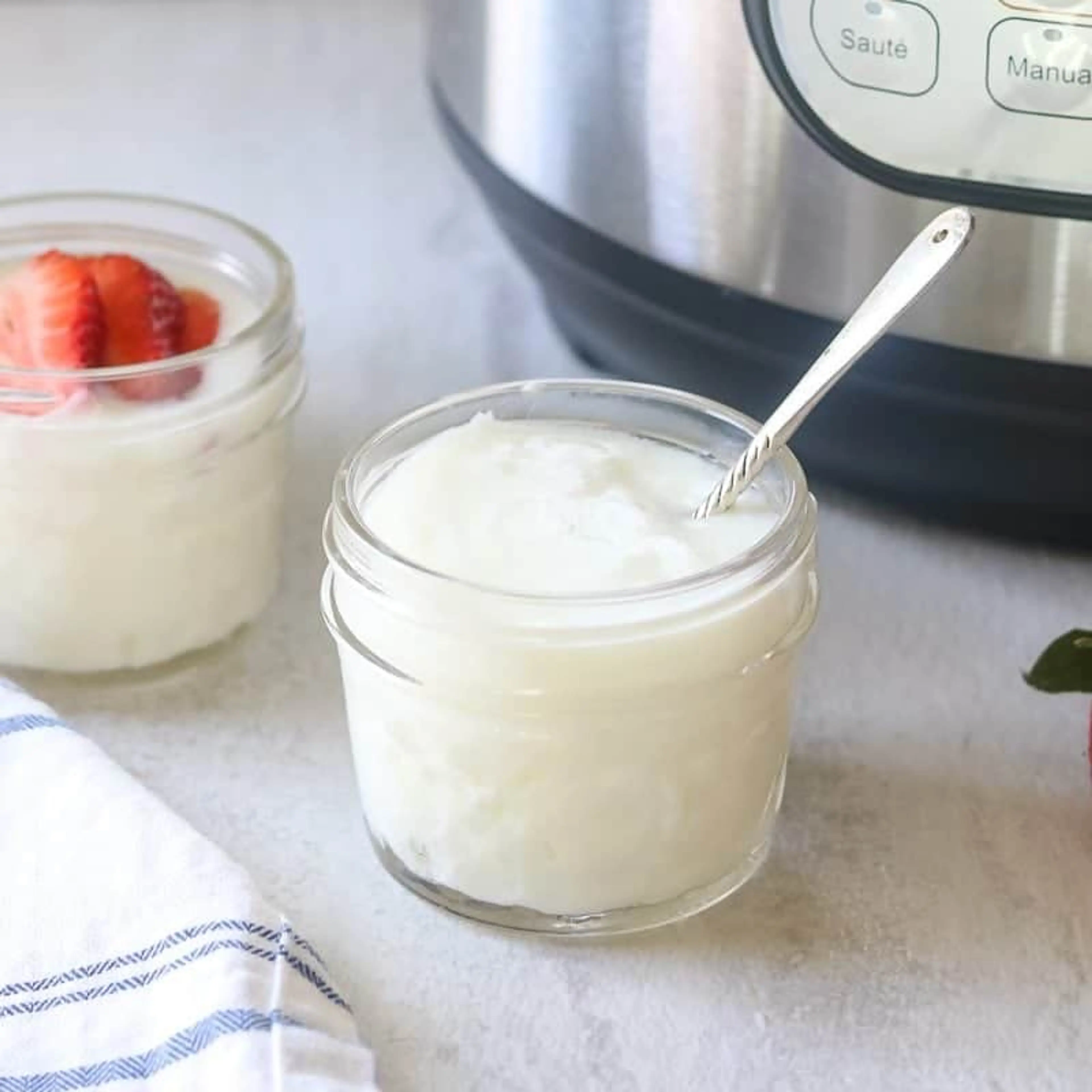 Homemade Yogurt