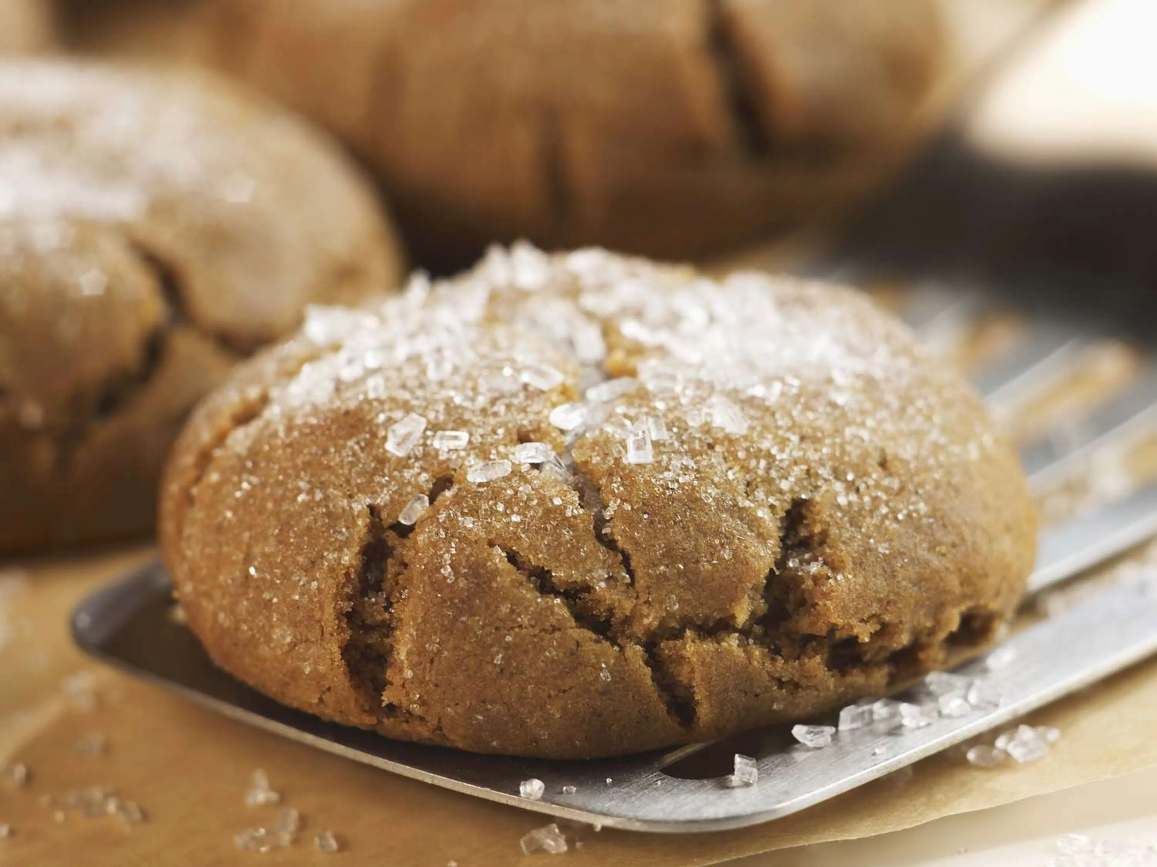 Soft Molasses Cookies Recipe | Cook the Book