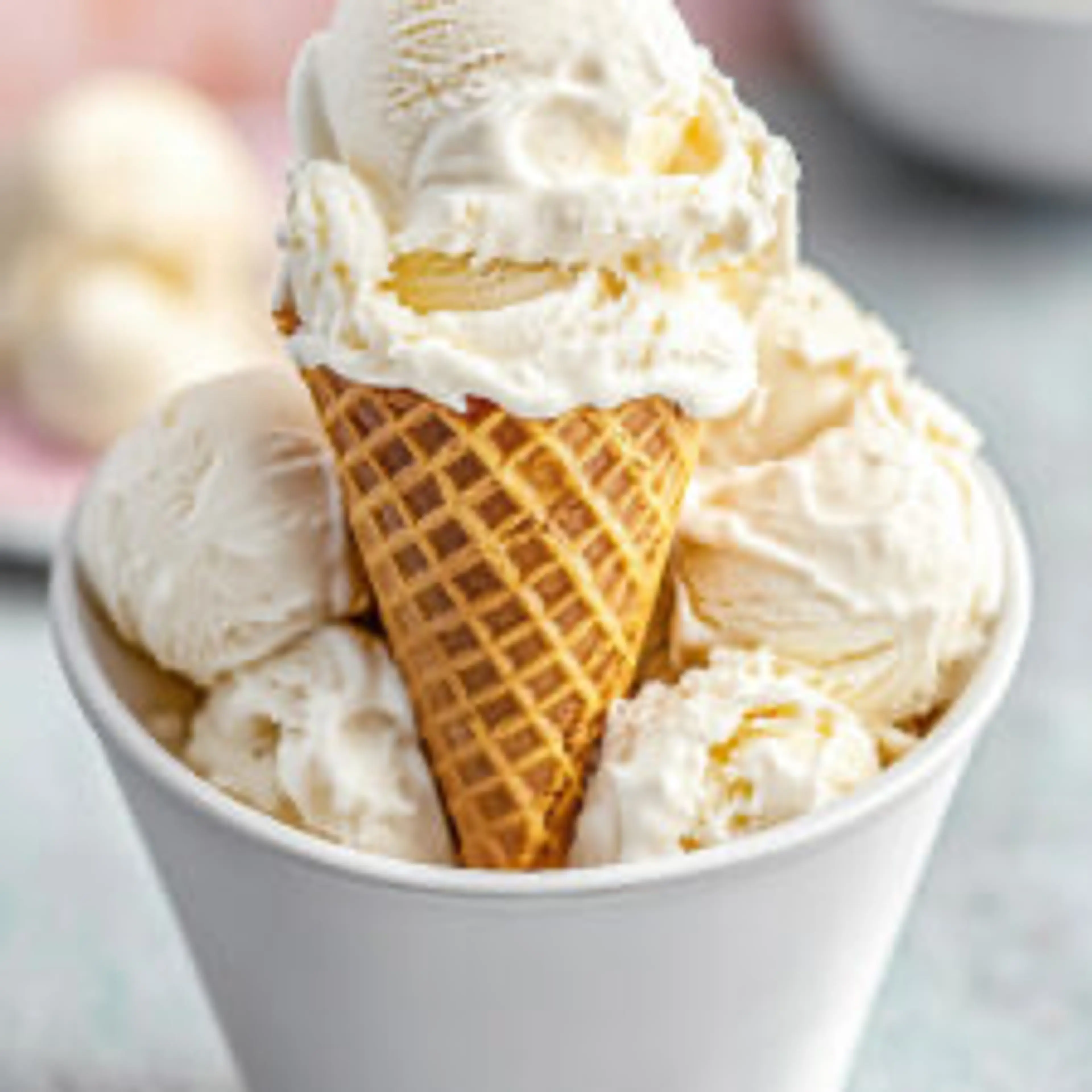 No-Churn Vanilla Ice Cream