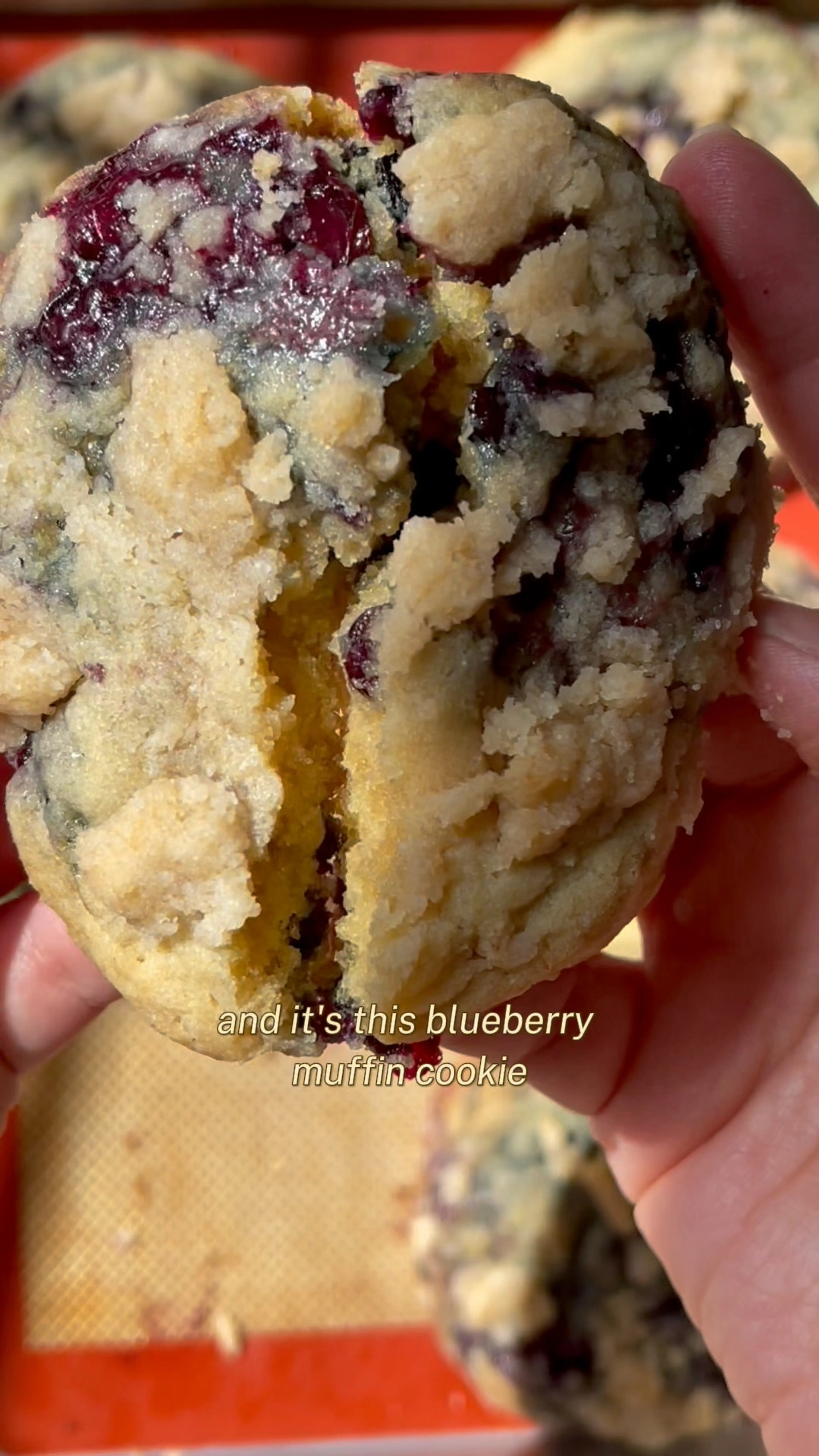 If Blueberry Muffins and Cookies Had a Baby