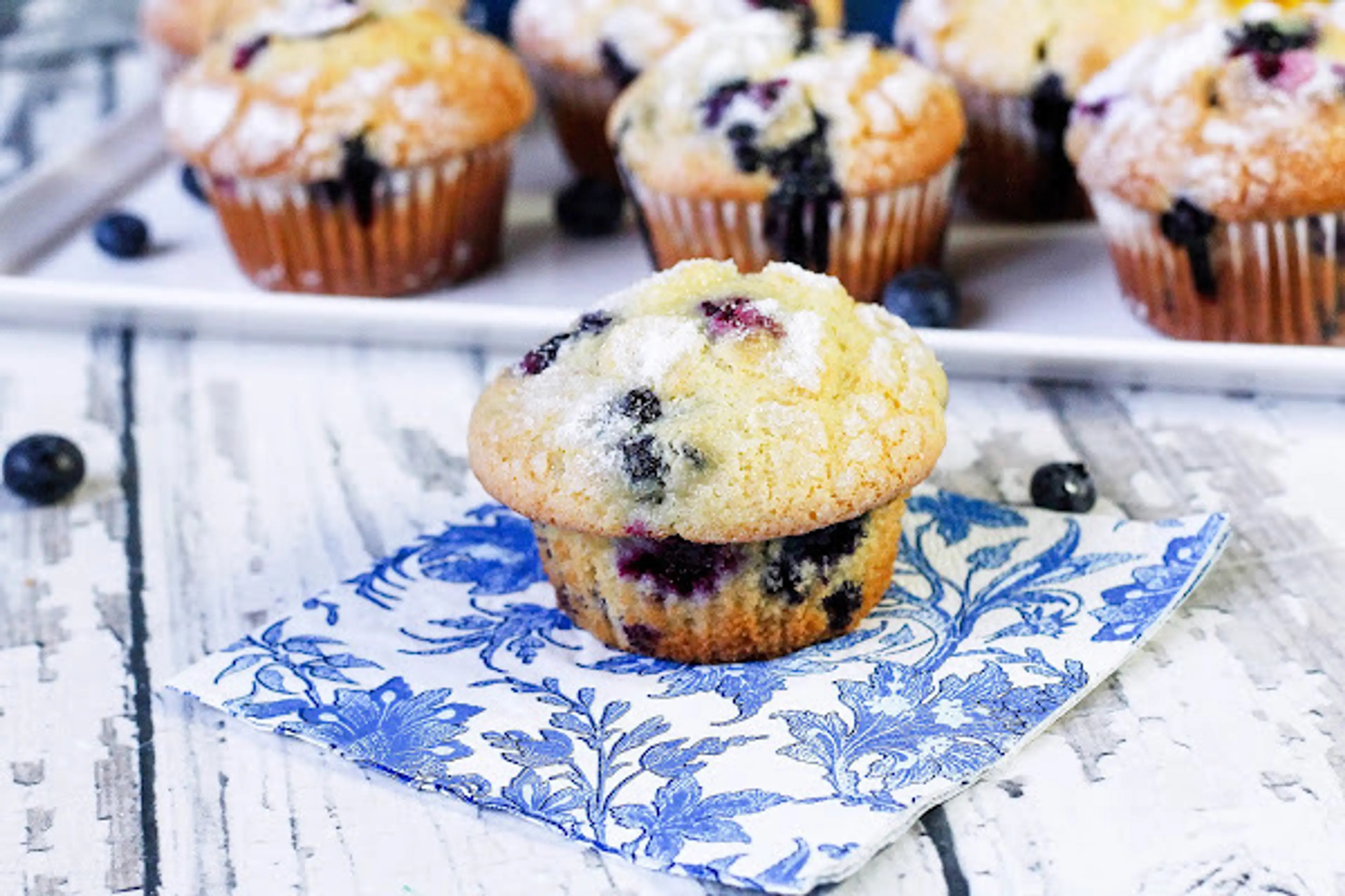 Ultimate Blueberry Muffins