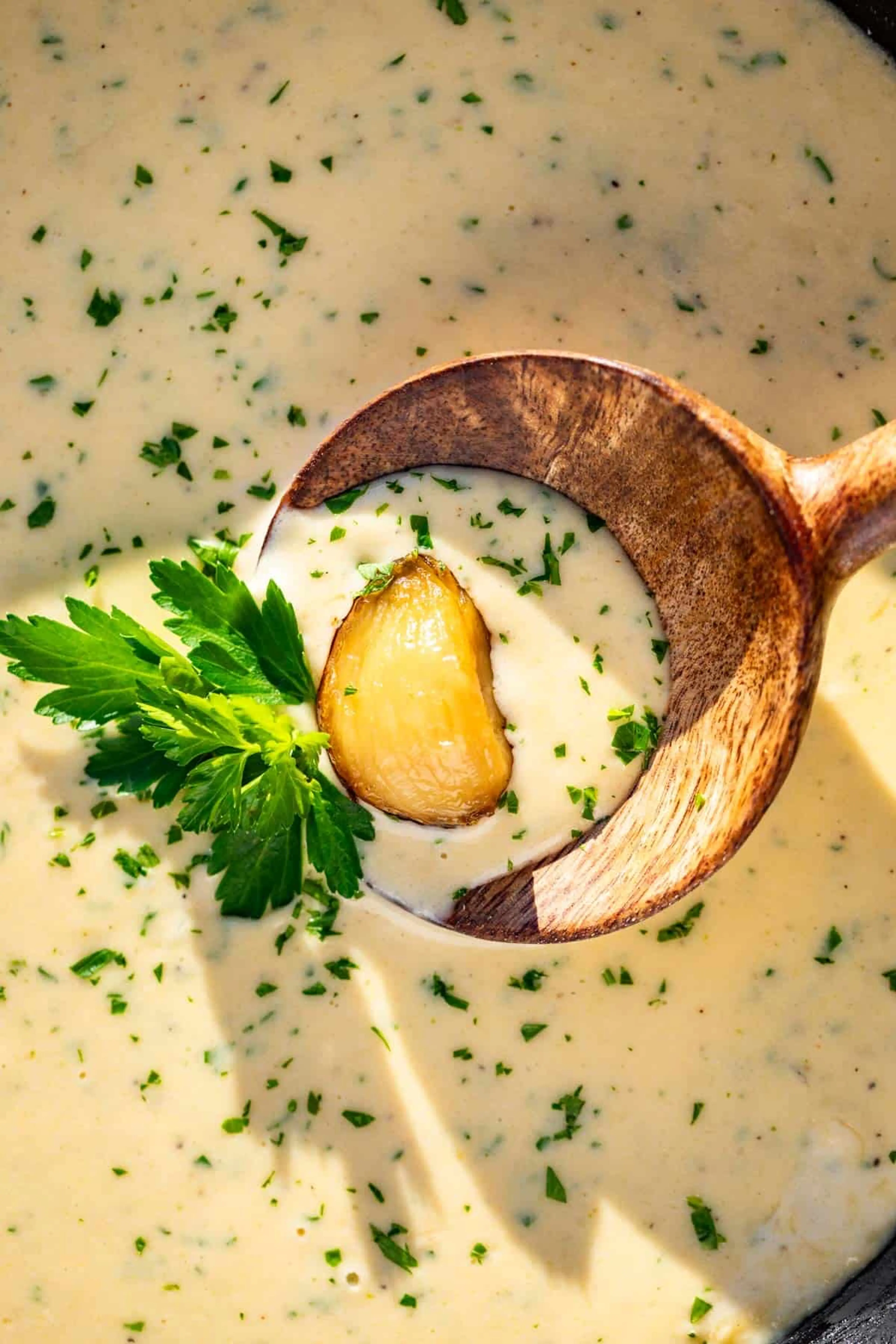 Garlic Cream Sauce