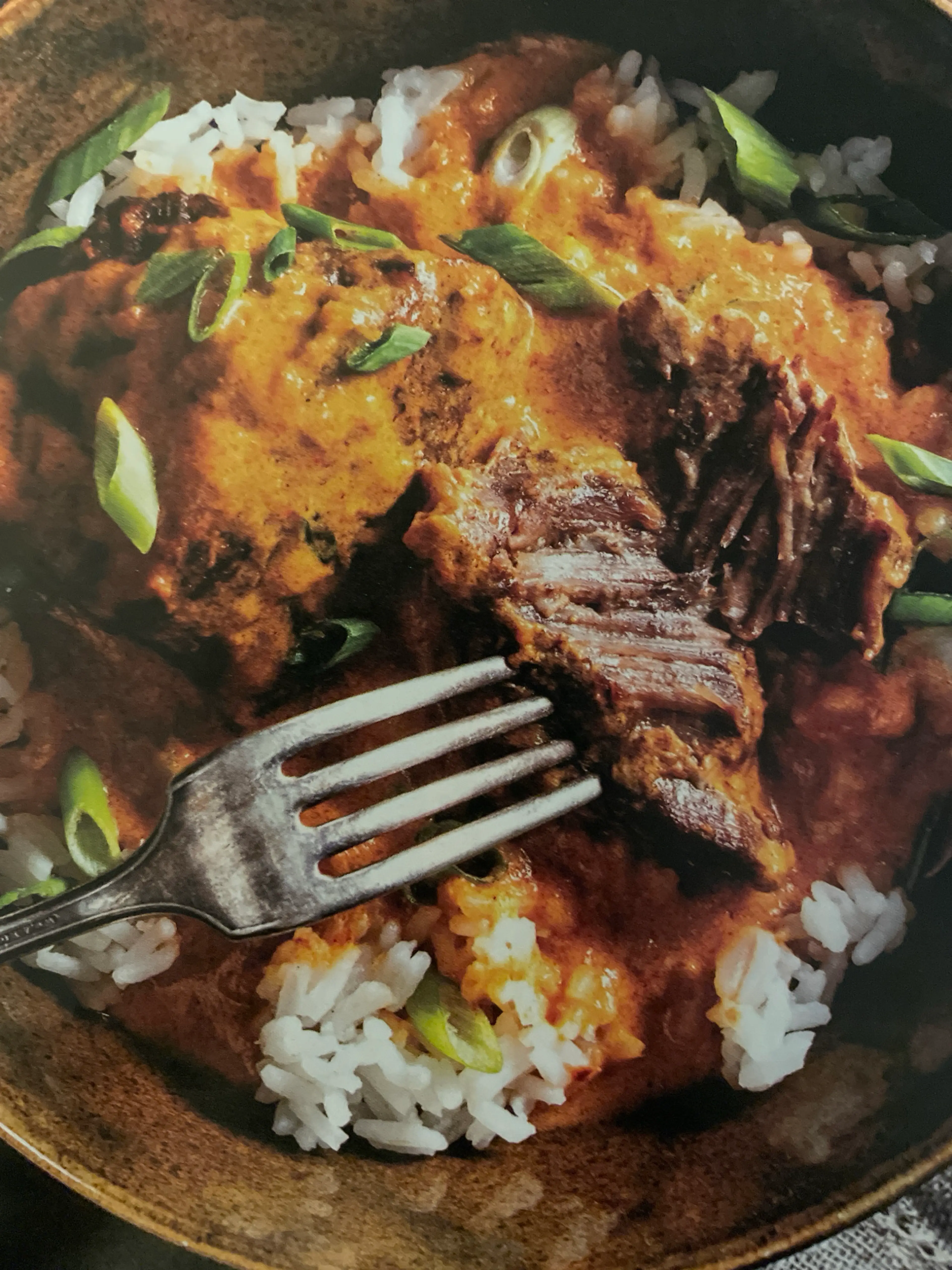 Coconut Red Curry Braised Short Ribs