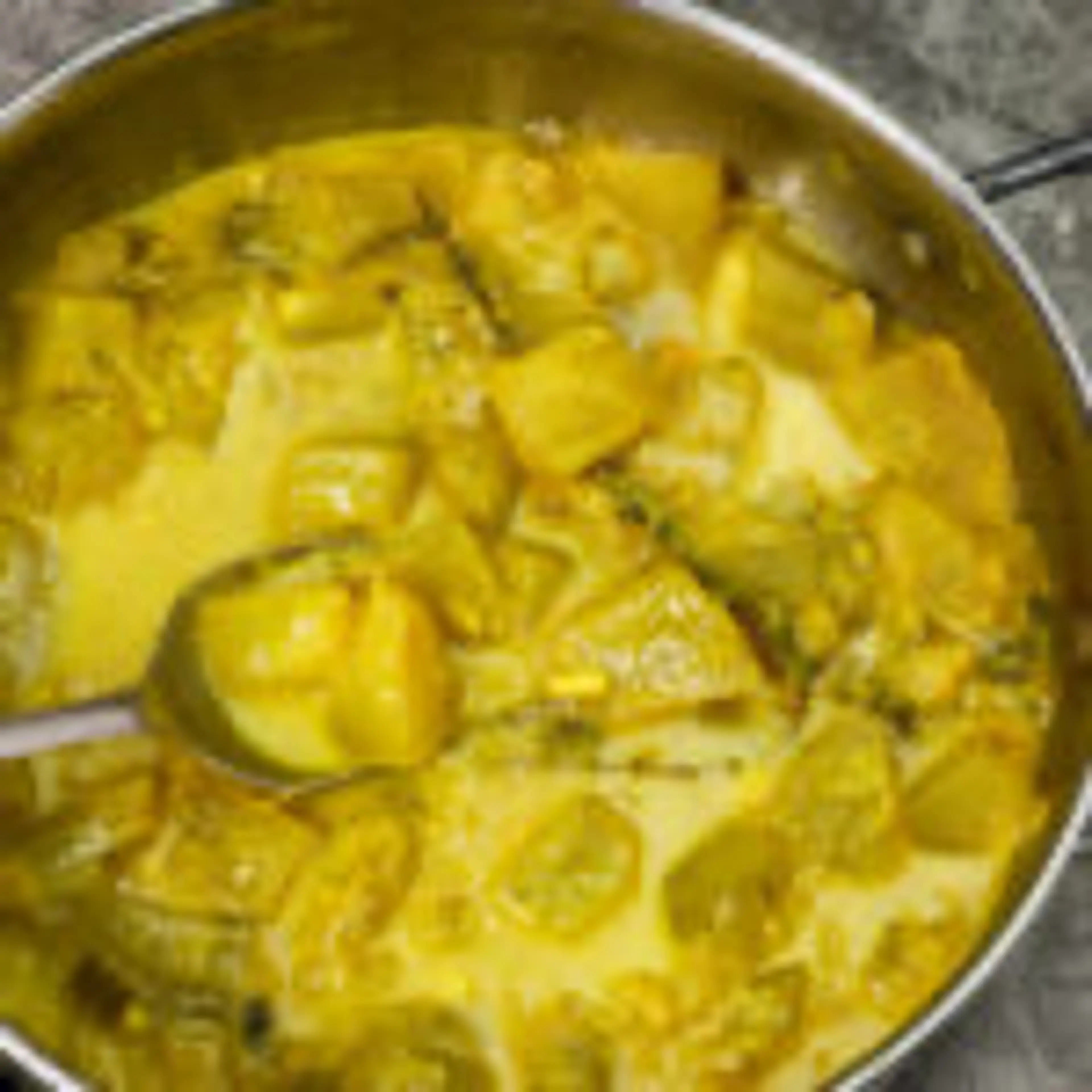 Winter Melon Curry