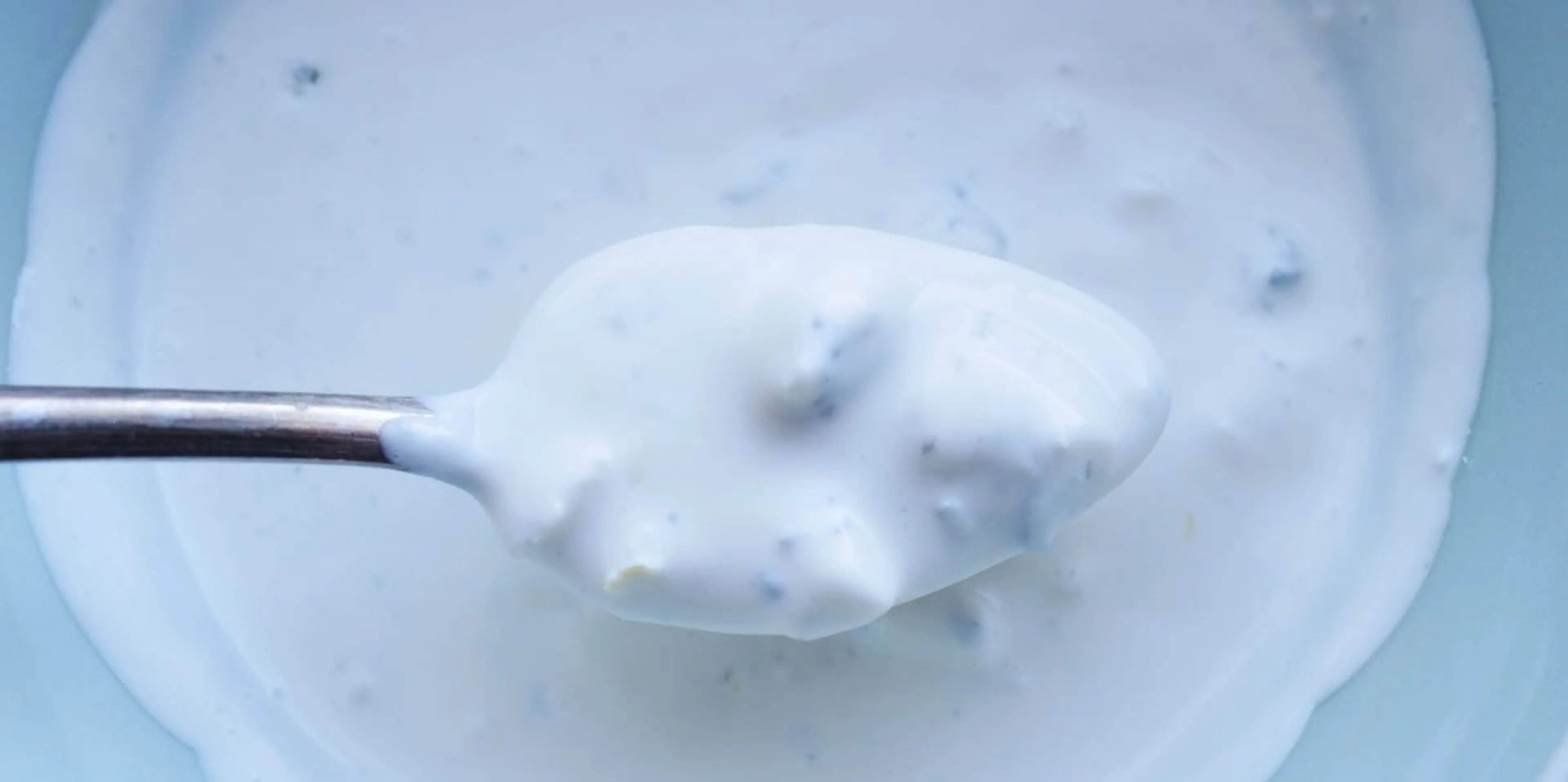 Blue Cheese Dressing