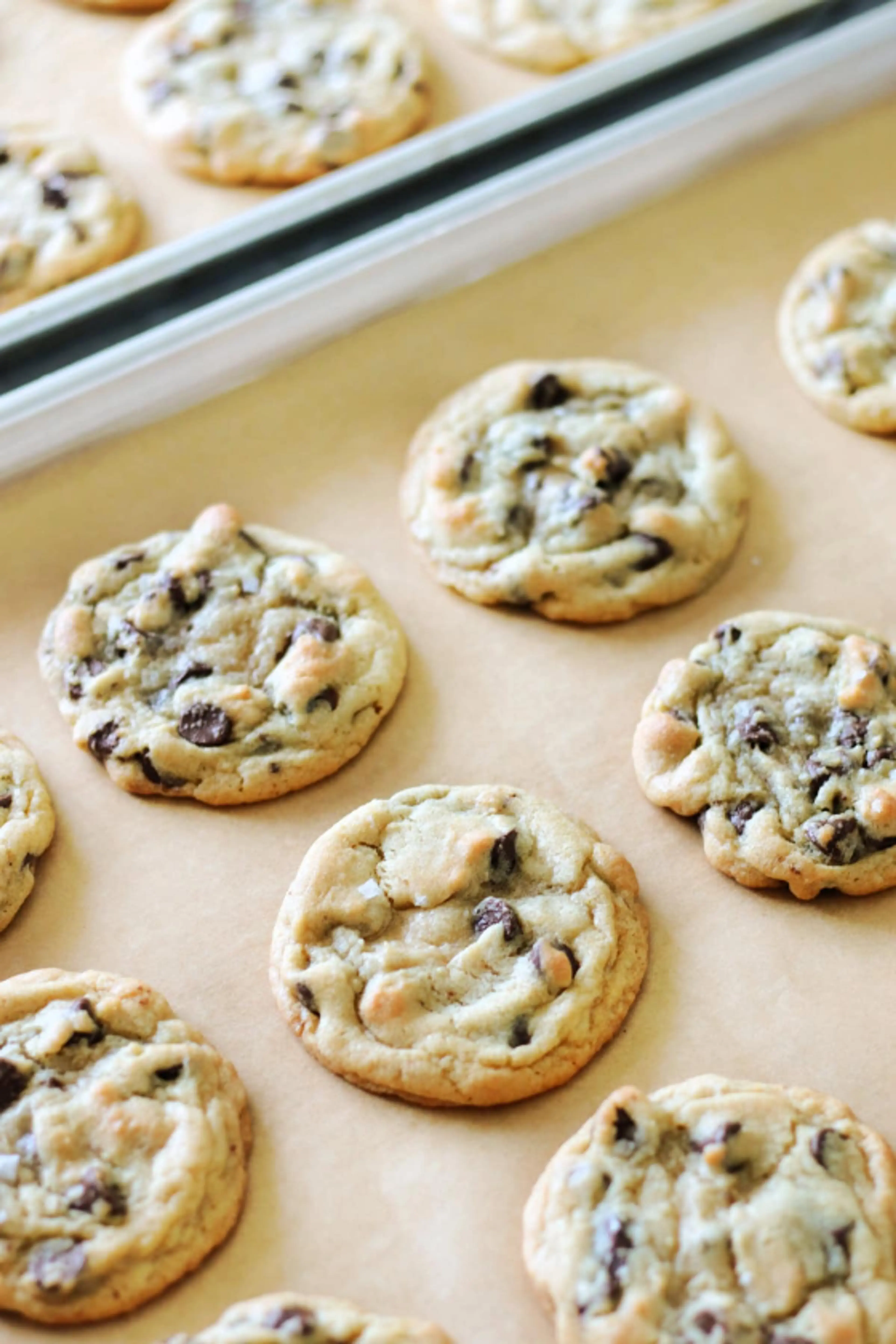 Martha-Stewart-Fired-Me Chocolate Chip Cookies