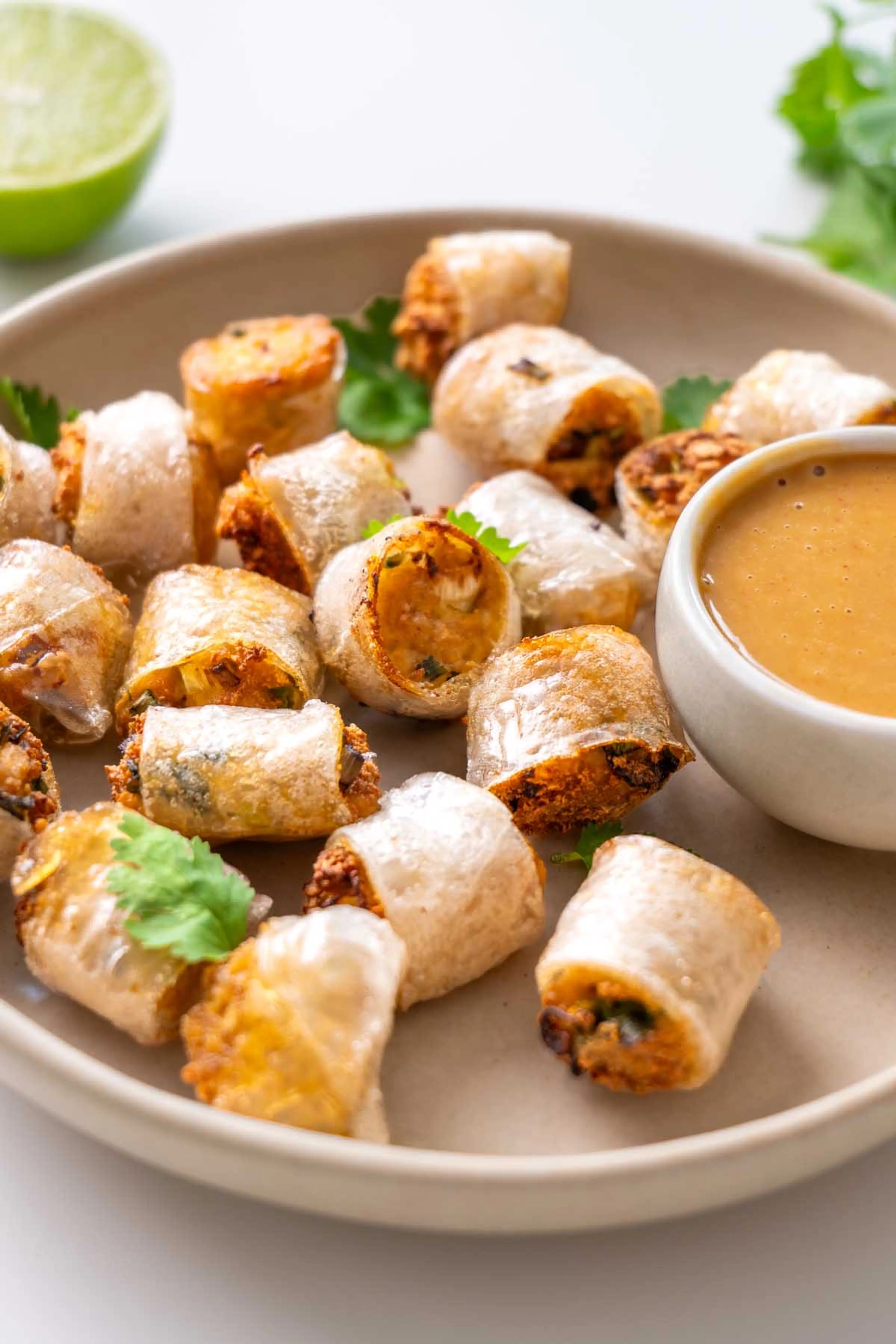 Viral Crispy Rice Paper Nuggets (Vegan)