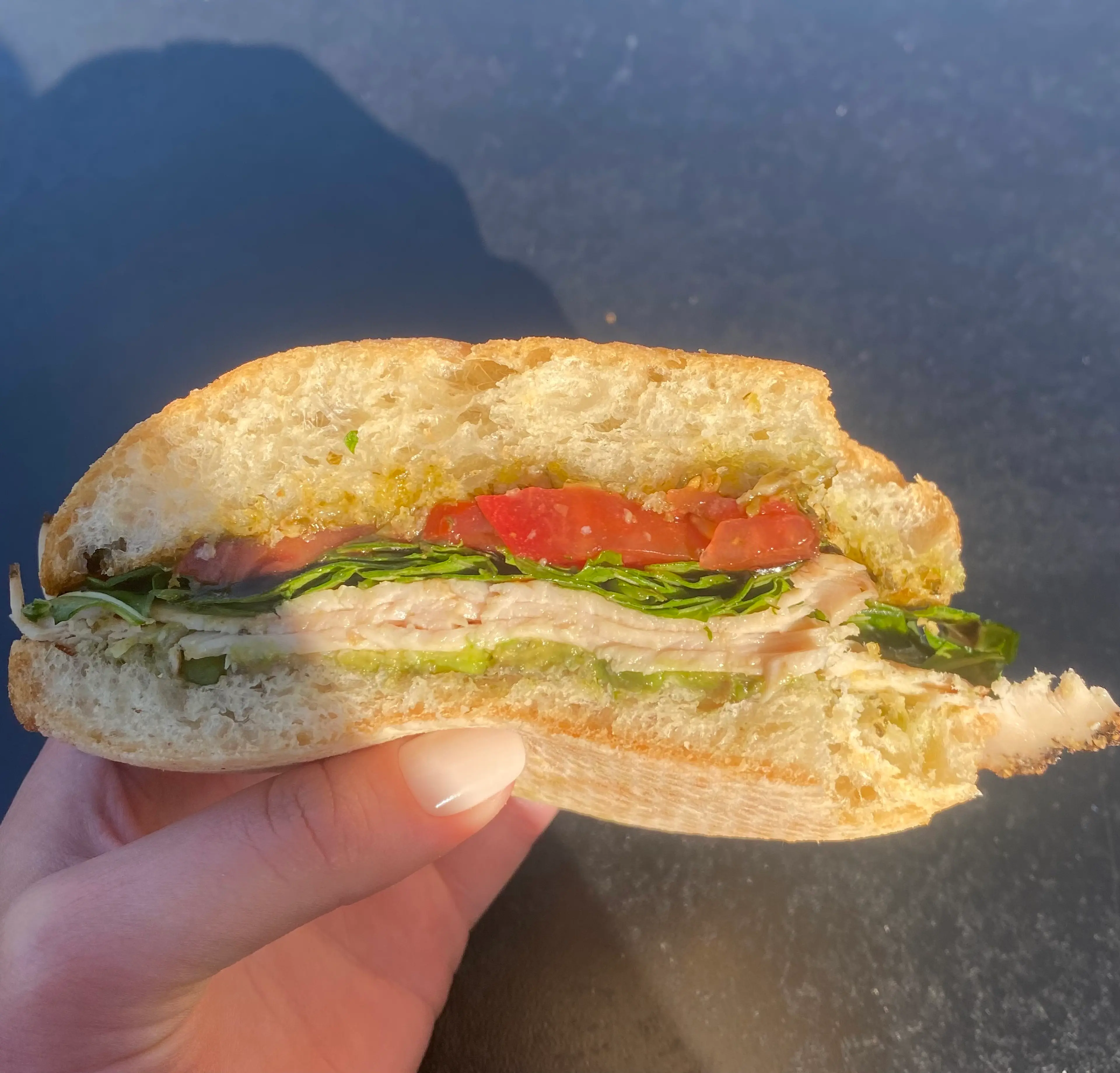 Turkey Pesto On Ciabatta
